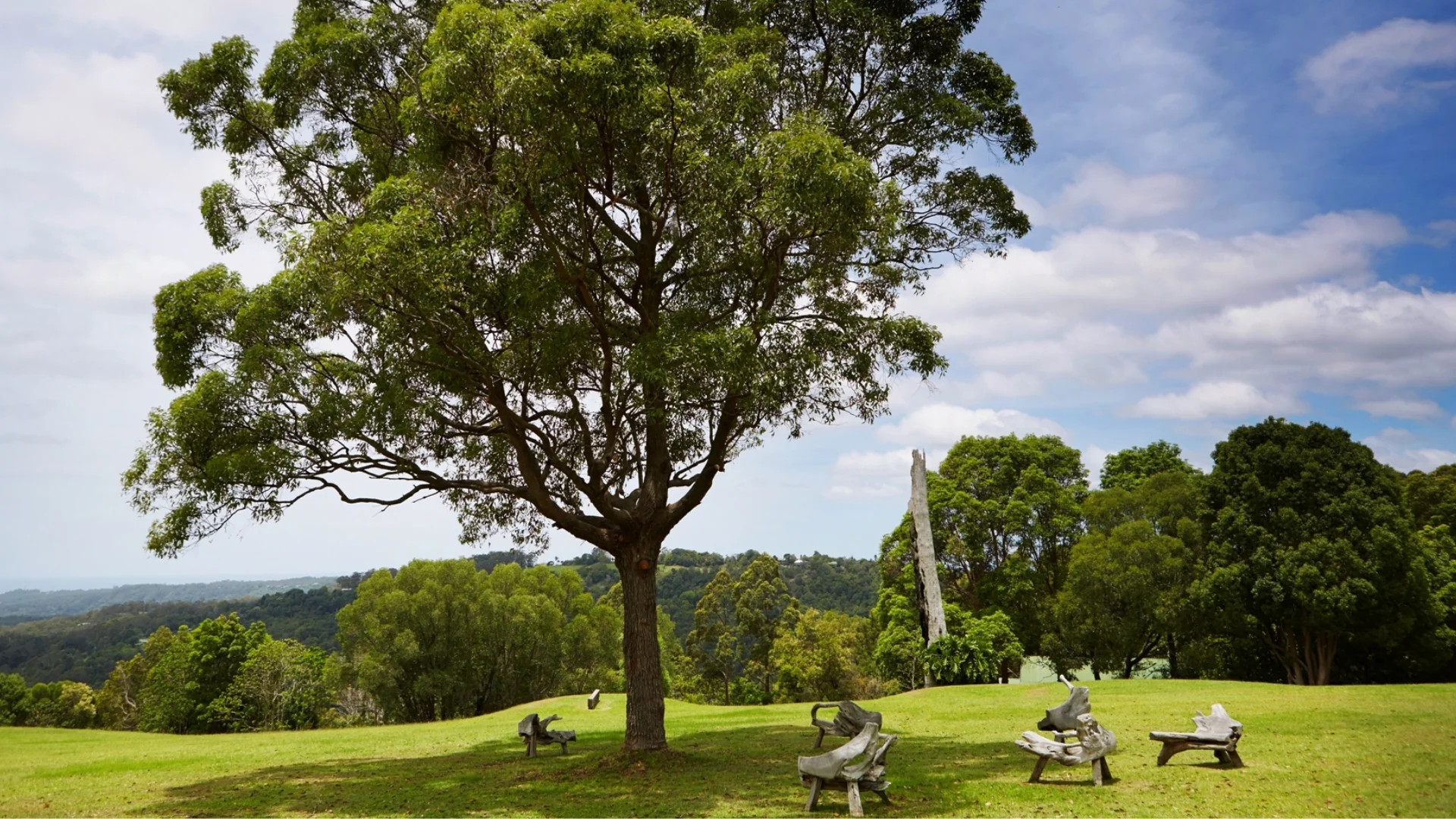 Optimaalinen hyvinvointi