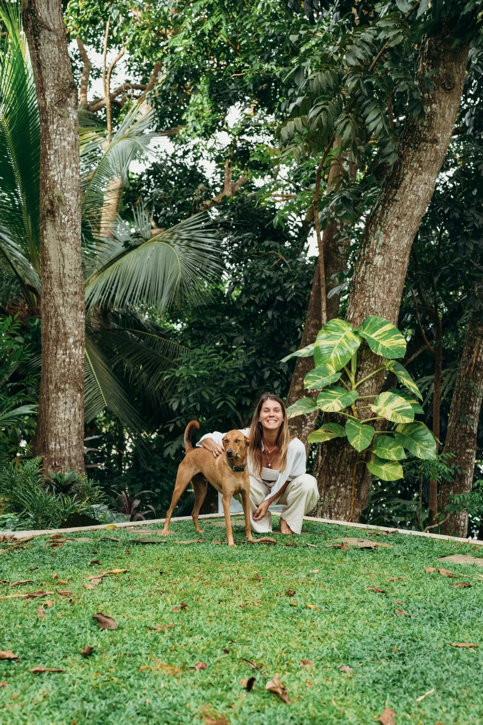Synergia Vinyasa-joogaretriitti Lanka Yogassa