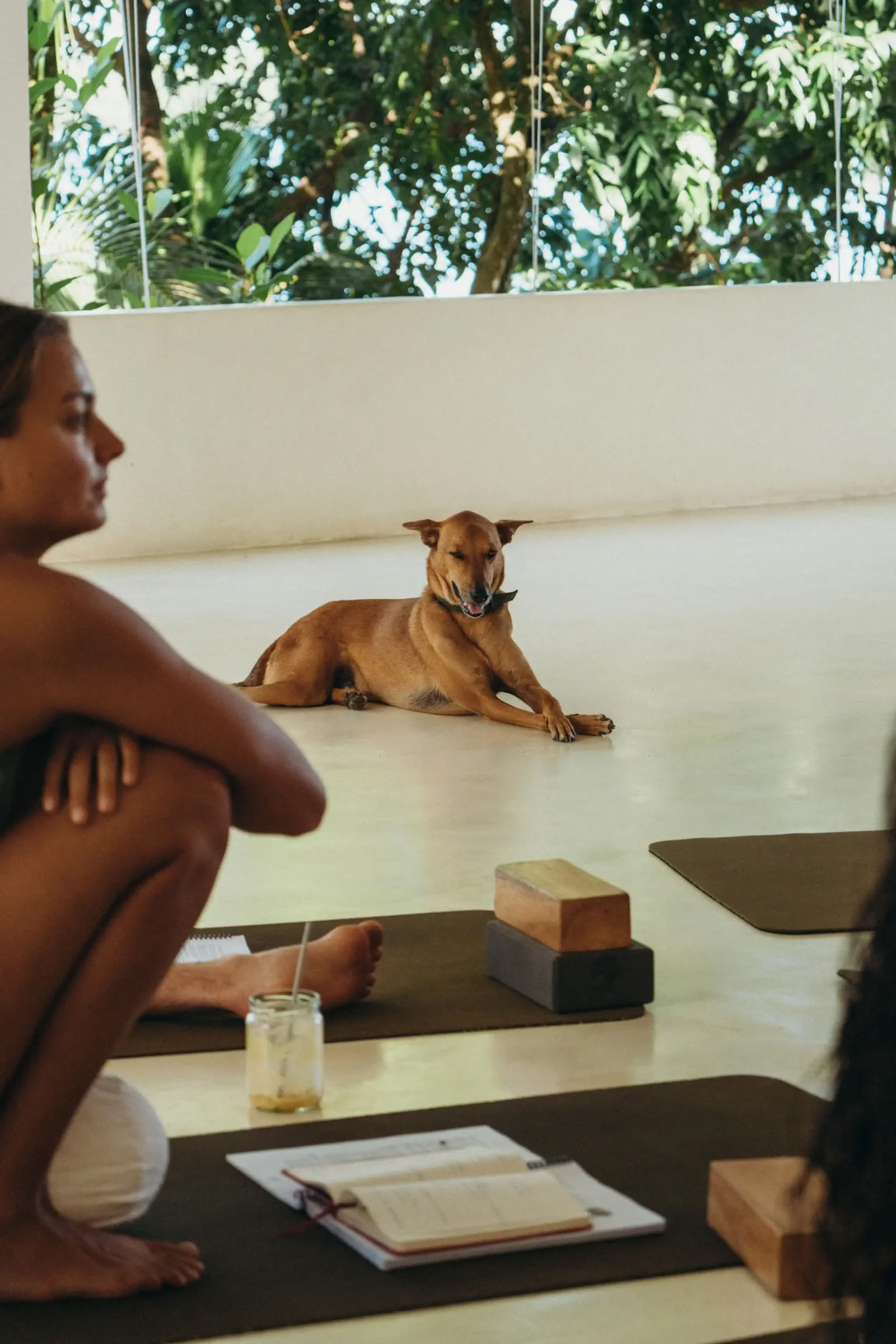 Synergia Vinyasa-joogaretriitti Lanka Yogassa