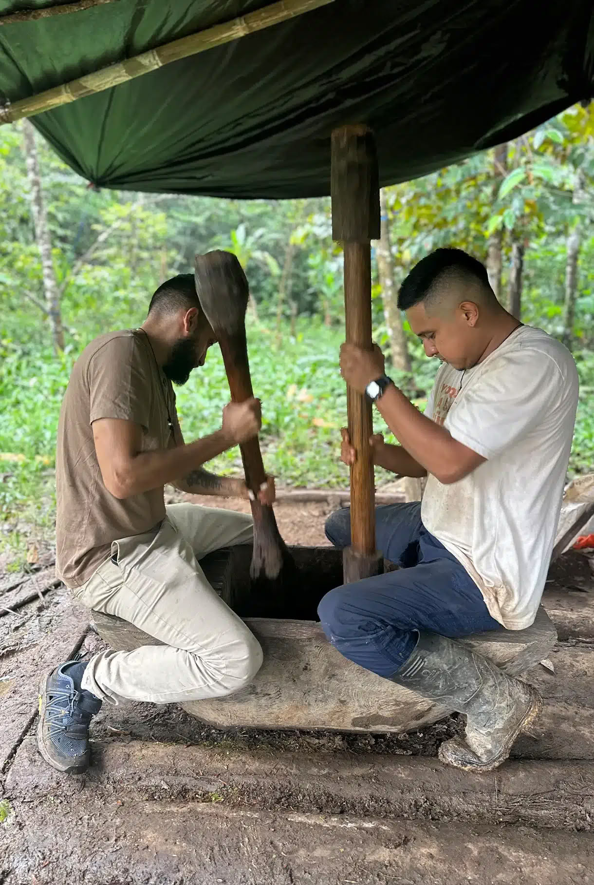 Lääkkeenvalmistajan Ayahuasca-retriitti Taita Miguelin kanssa