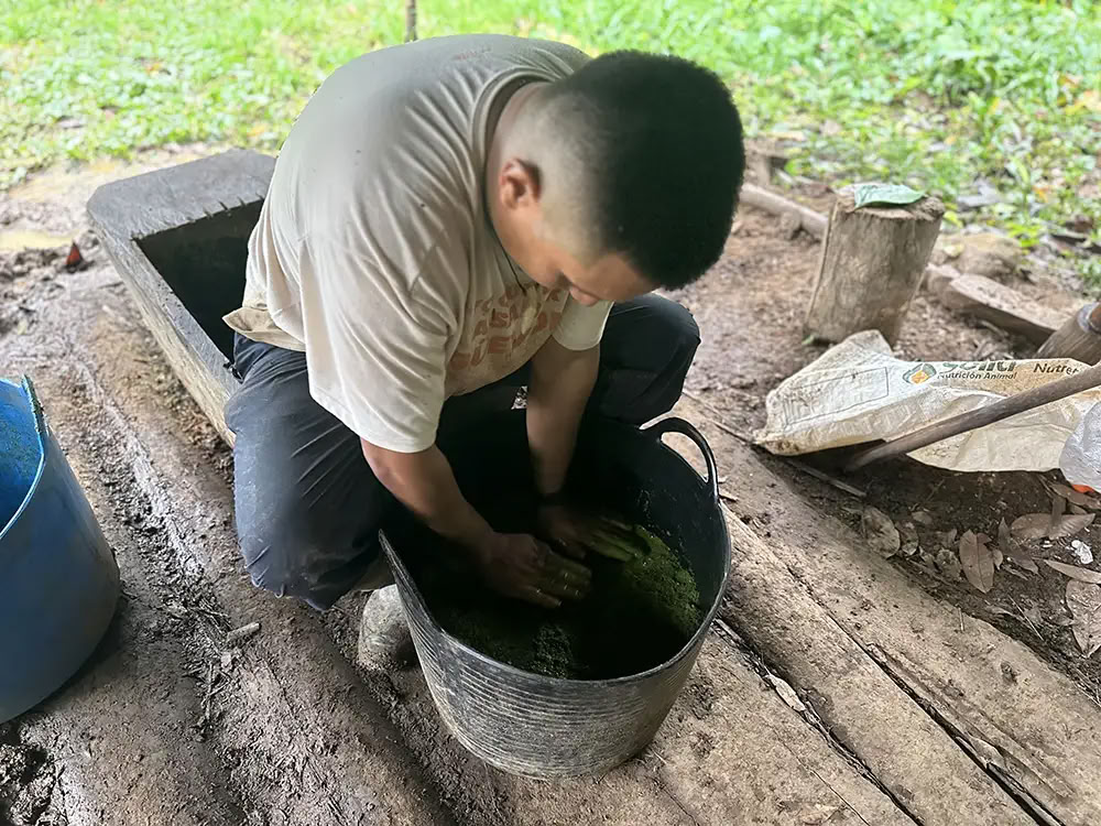 Lääkkeenvalmistajan Ayahuasca-retriitti Taita Miguelin kanssa