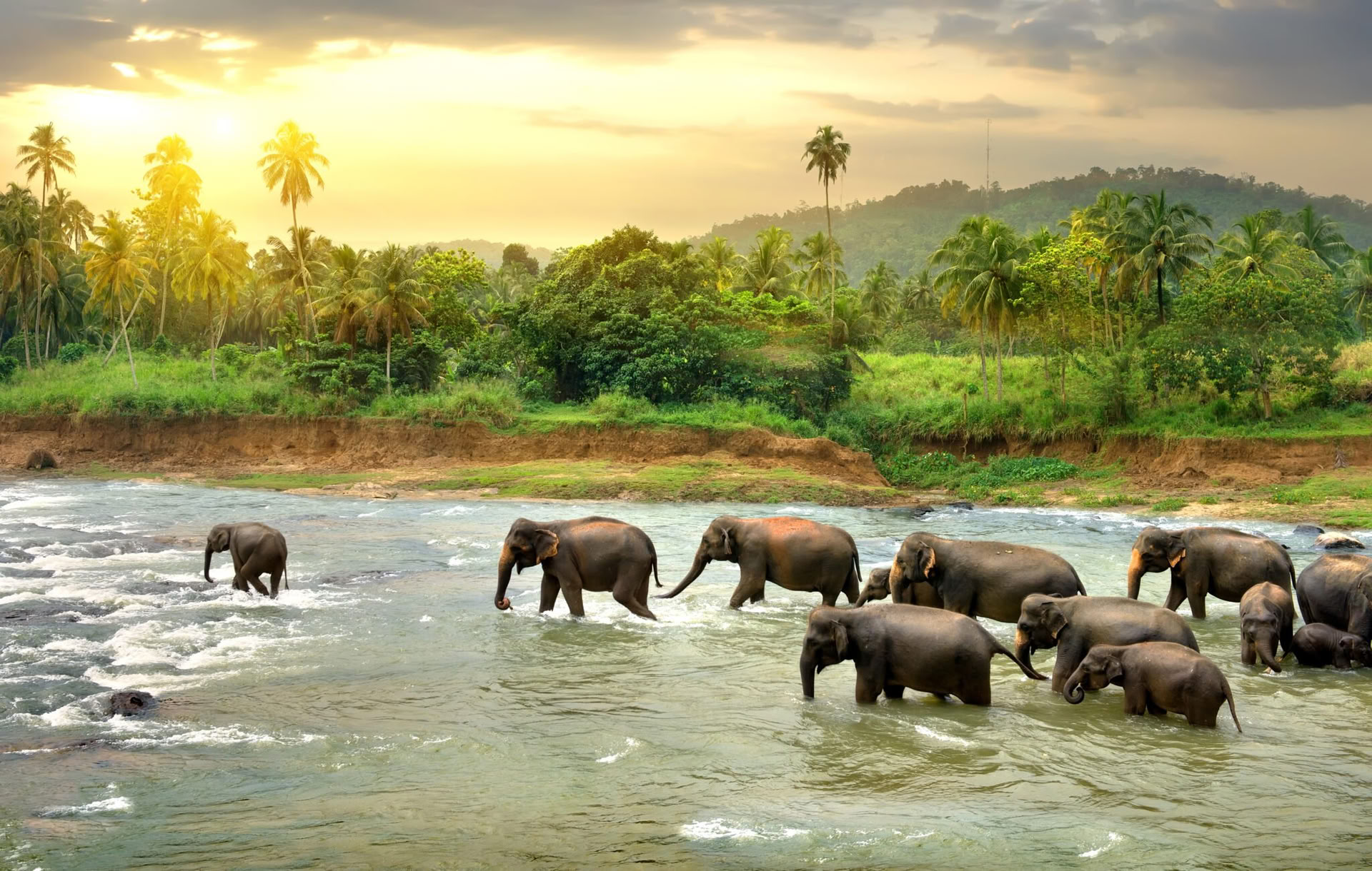Rauhalliset polut: 7 päivän Sri Lankan autuus! Jooga, meditaatio, kulttuuri, luonto