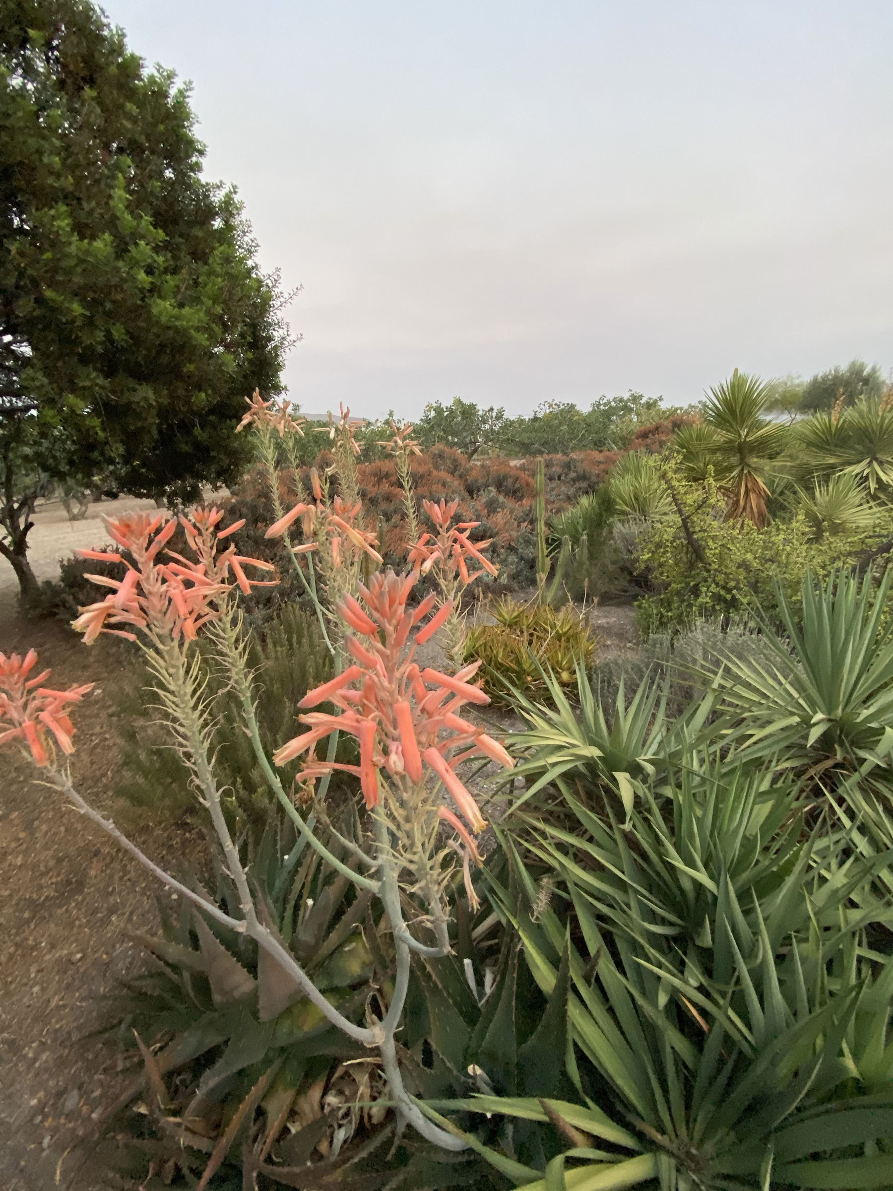 Käännekohtaretriitti