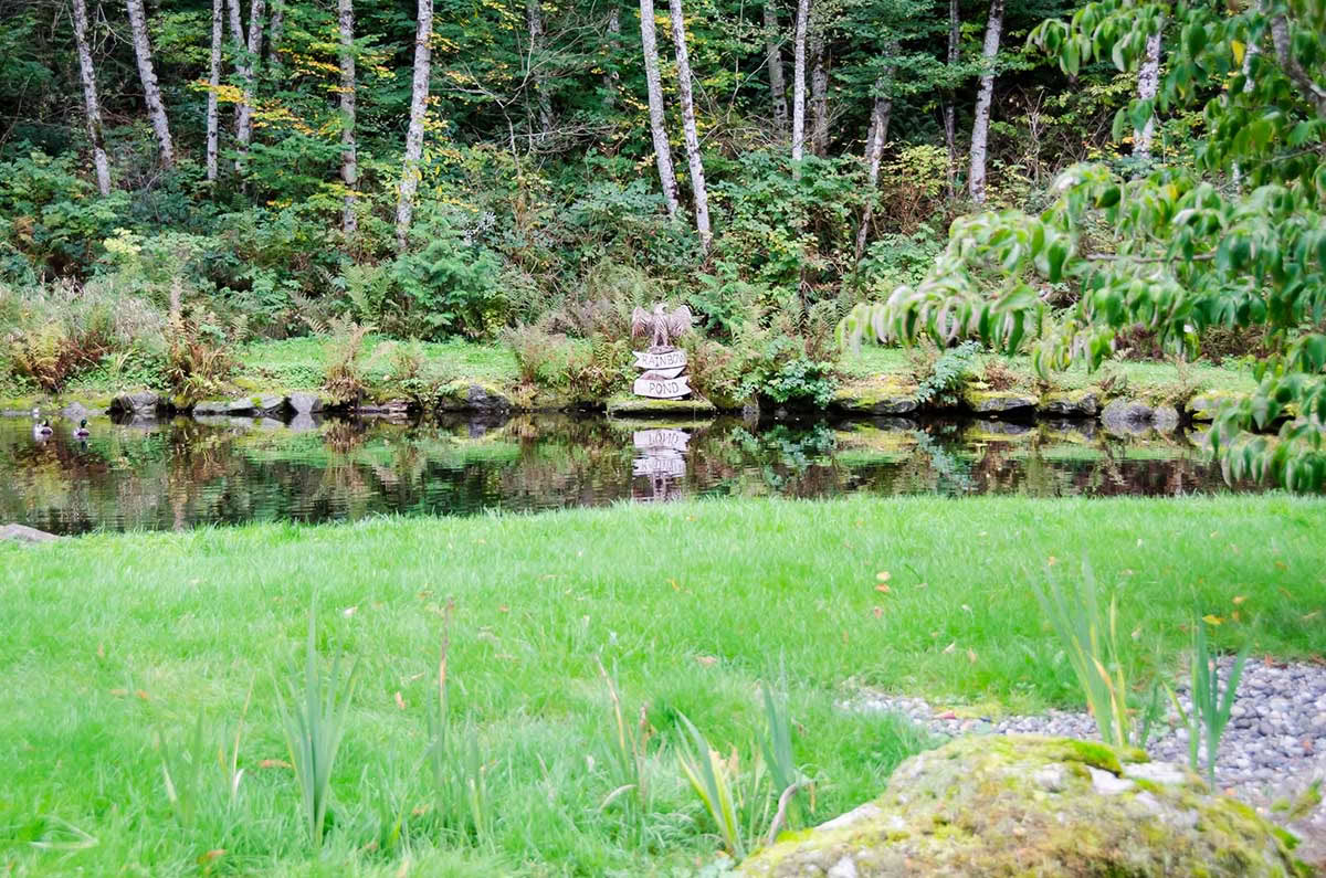Syyspäiväntasausjooga- ja meditaatioretriitti