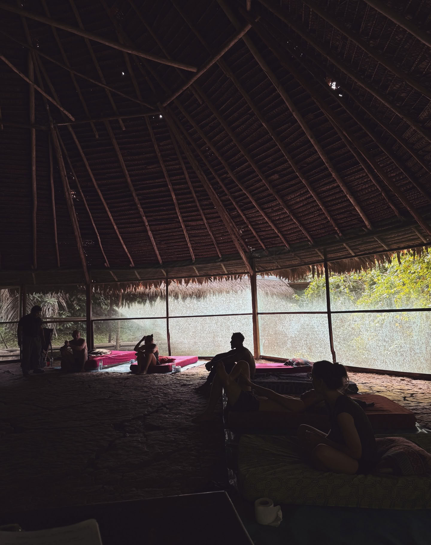 7 päivän ayahuascaretriitti