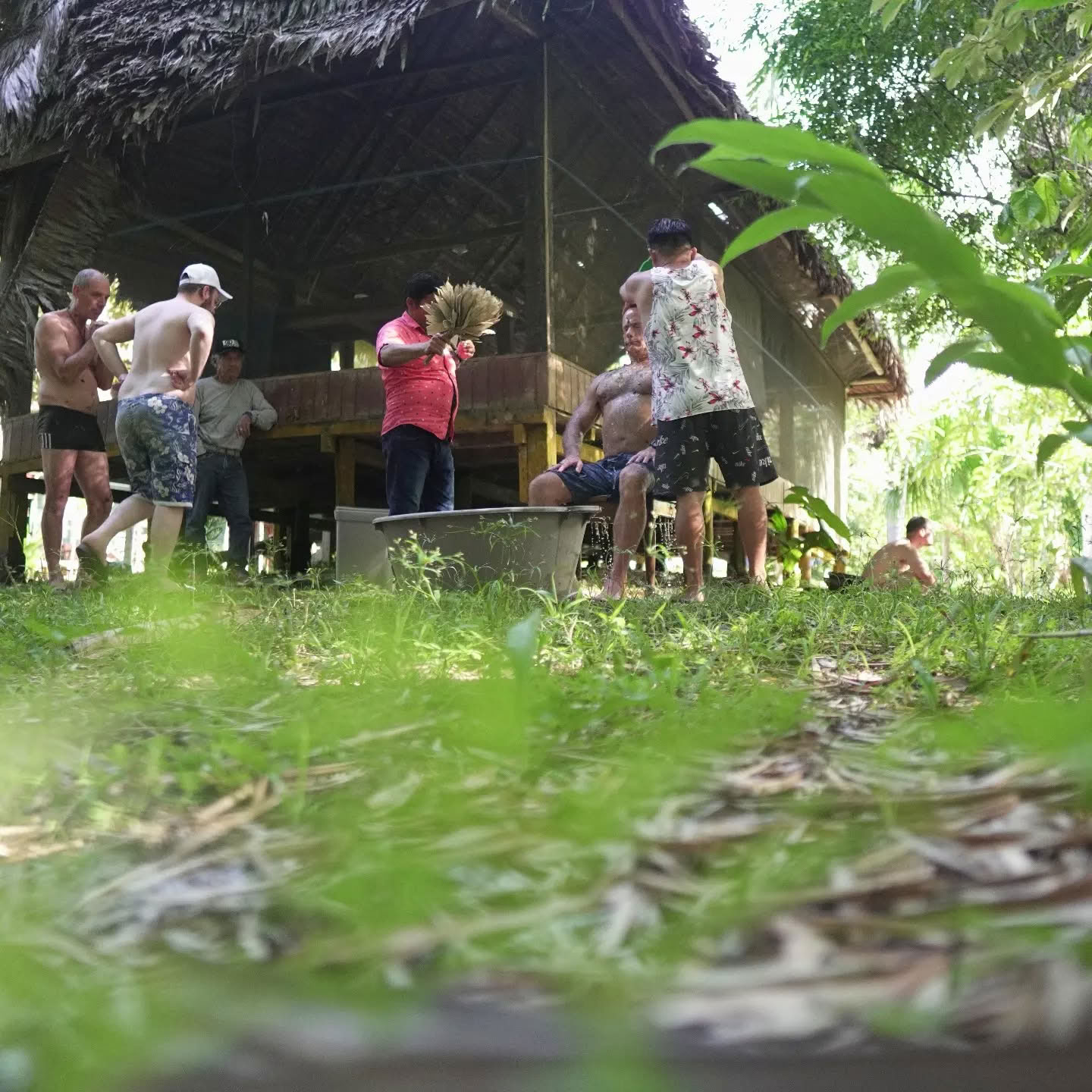 7 päivän ayahuascaretriitti