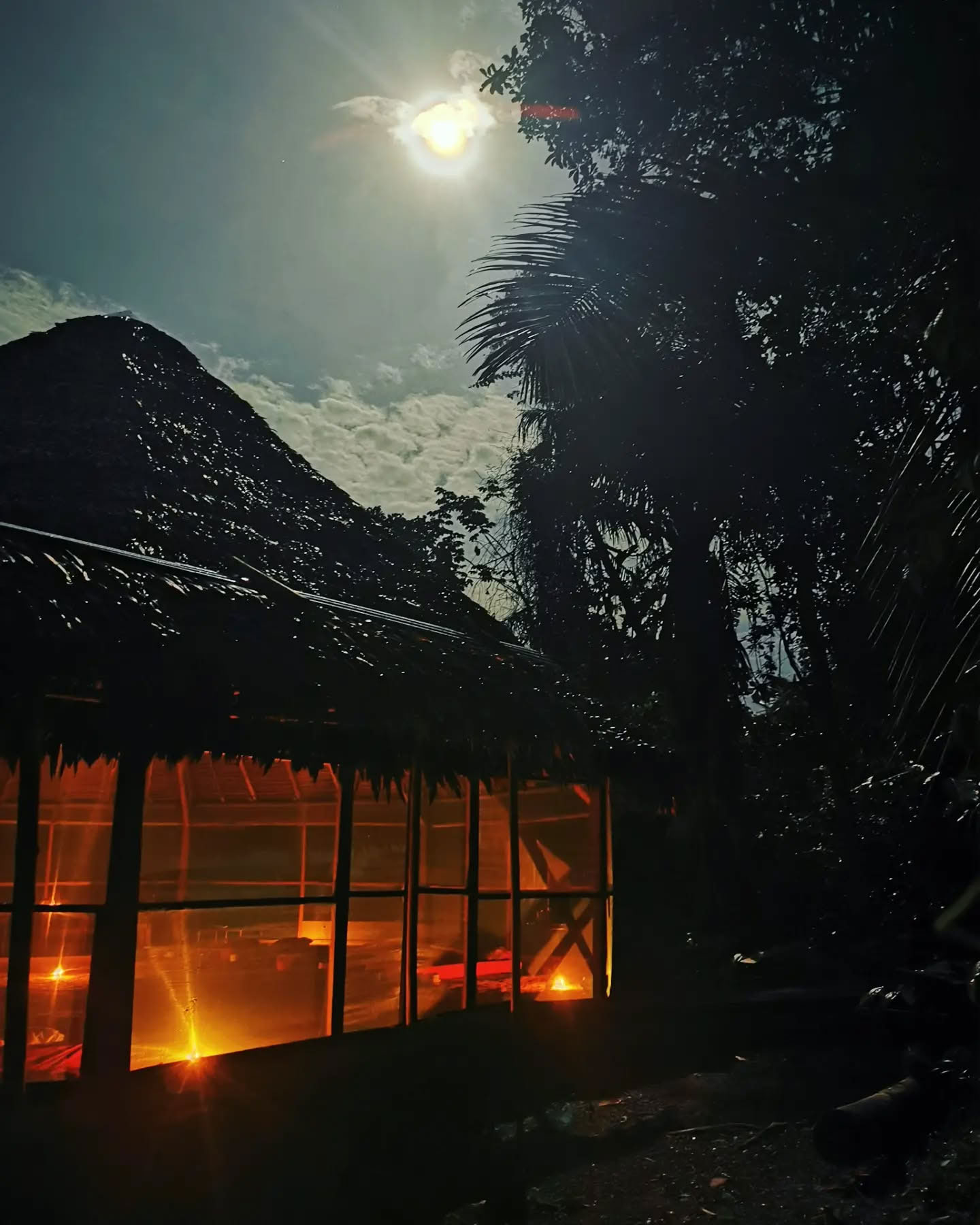 7 päivän ayahuascaretriitti