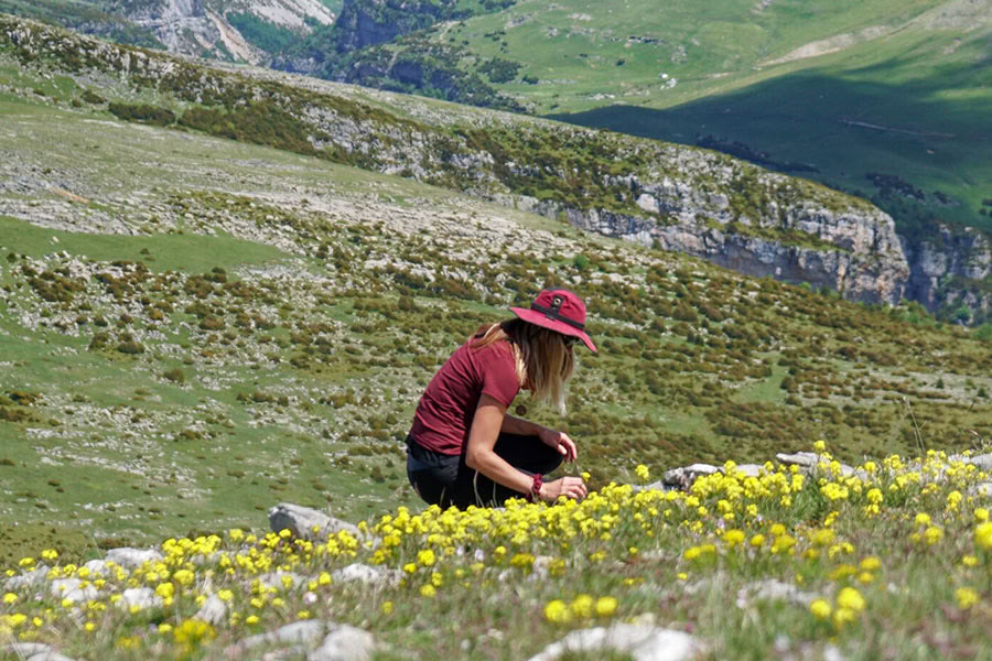 Elämän kunnioitus: jooga-, mindfulness- ja vaellusretriitti