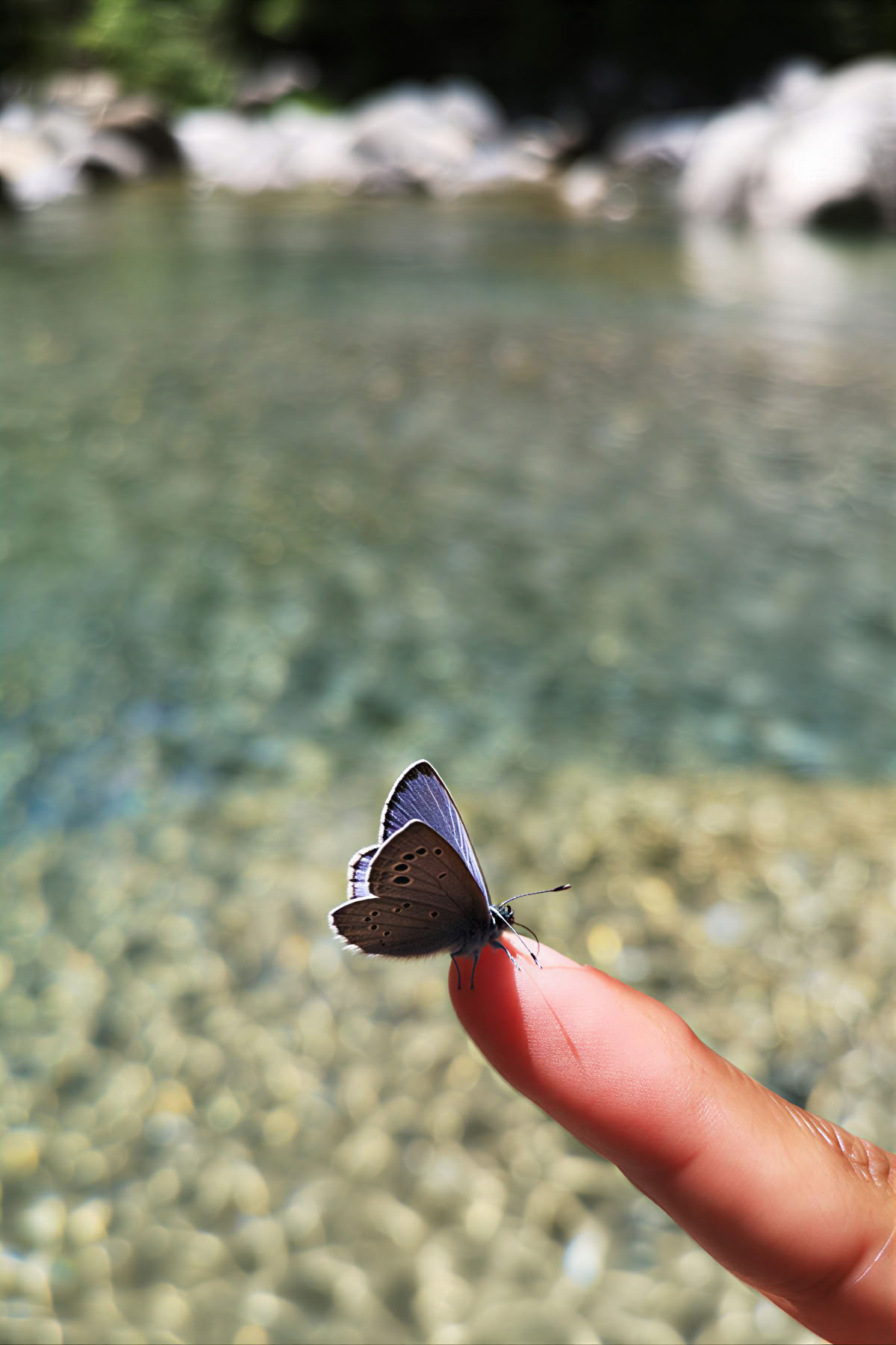 Elämän kunnioitus: jooga-, mindfulness- ja vaellusretriitti