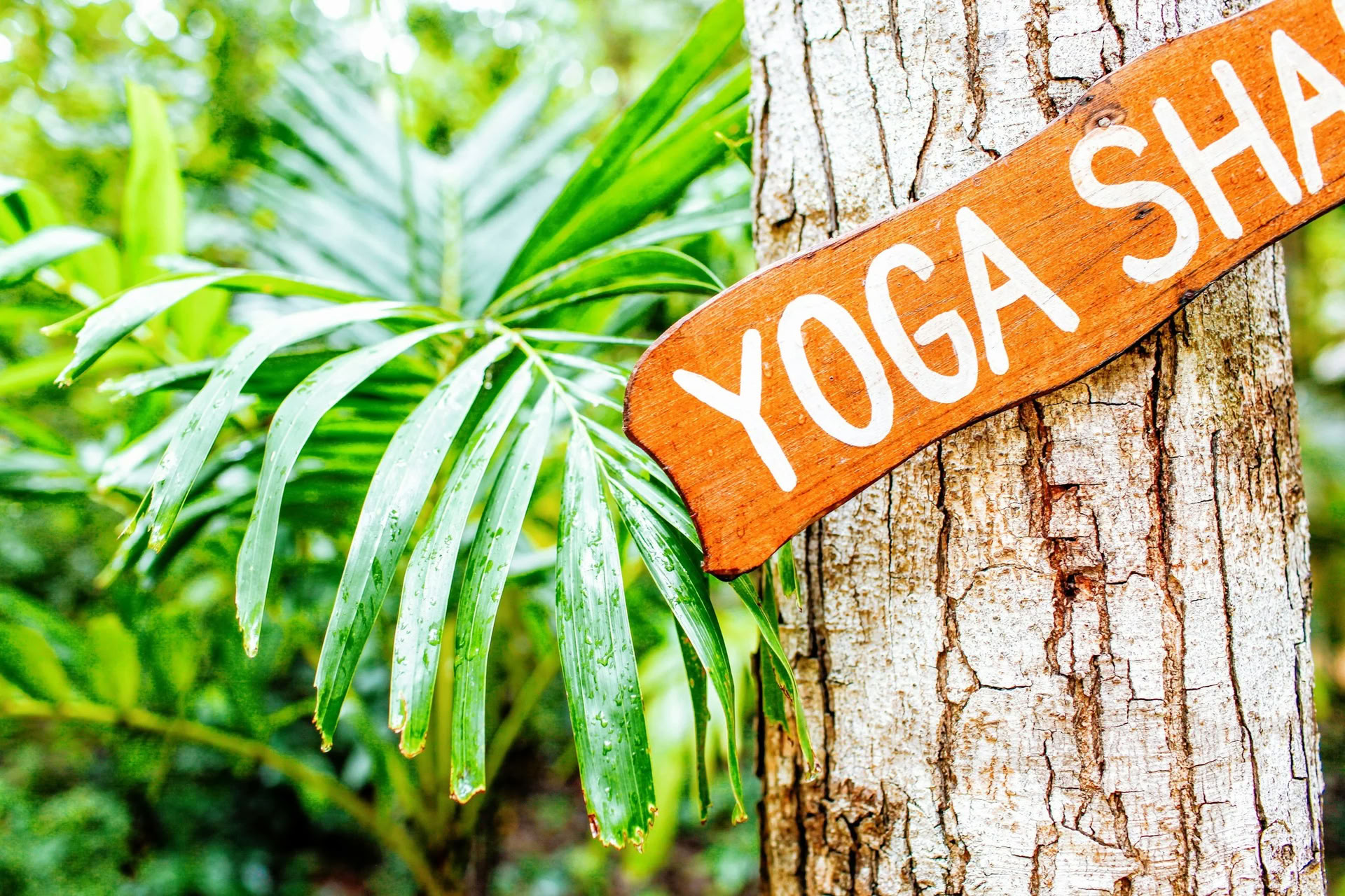Ashtanga-joogan syventävä retriitti