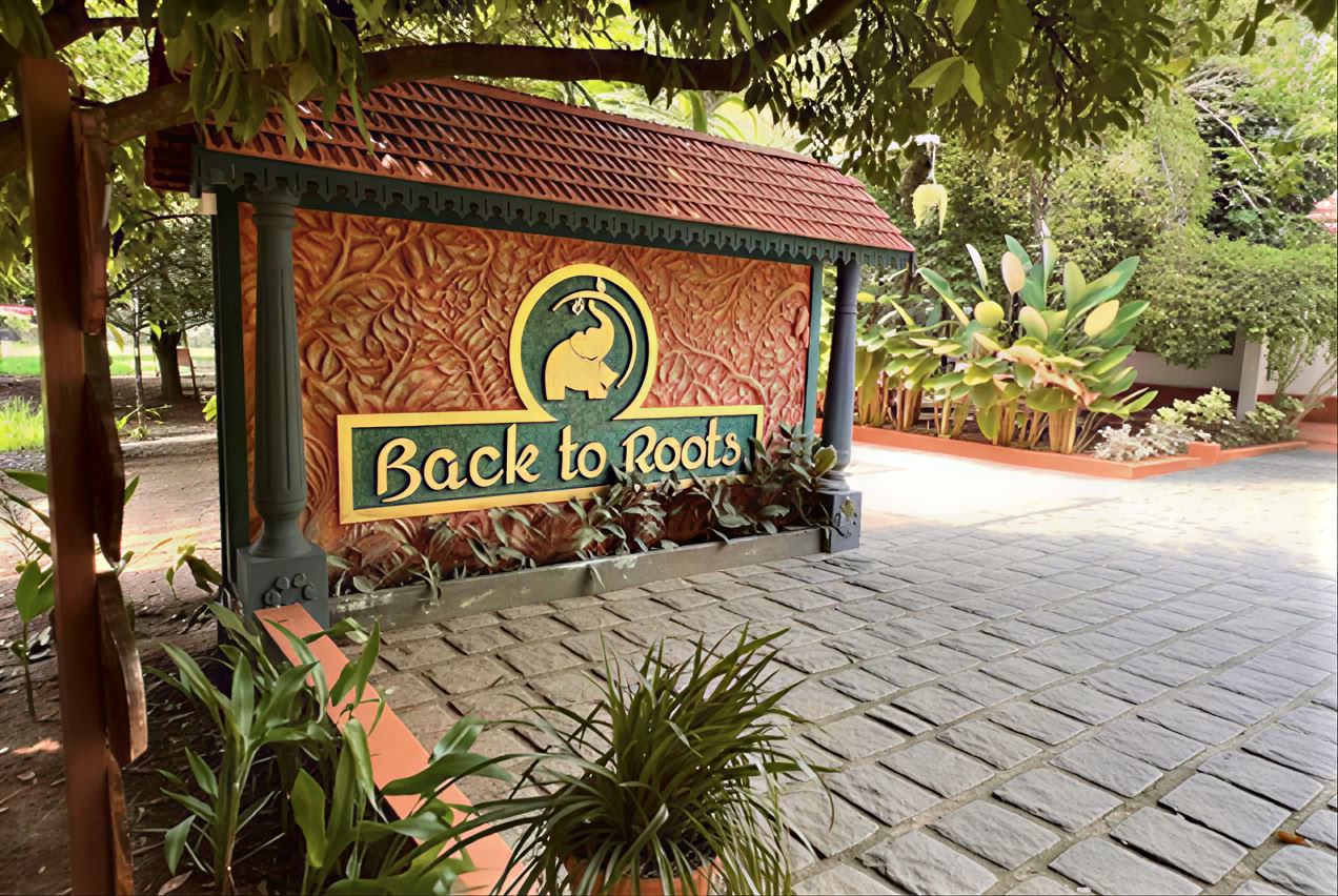 14 yön detox Back to Roots Ayurvedassa