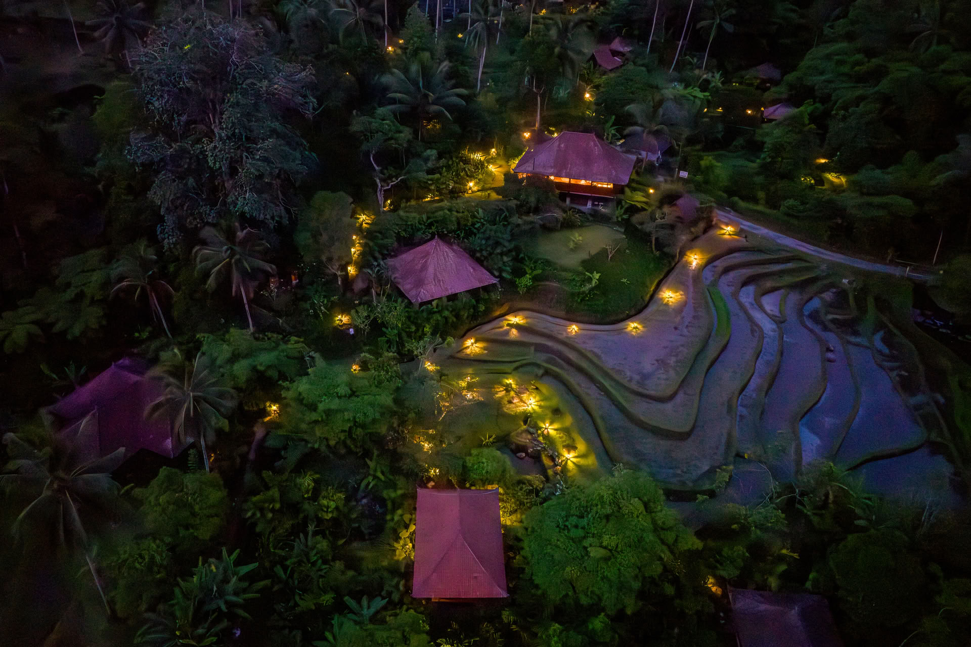 Yksittäinen Bali-tarjous