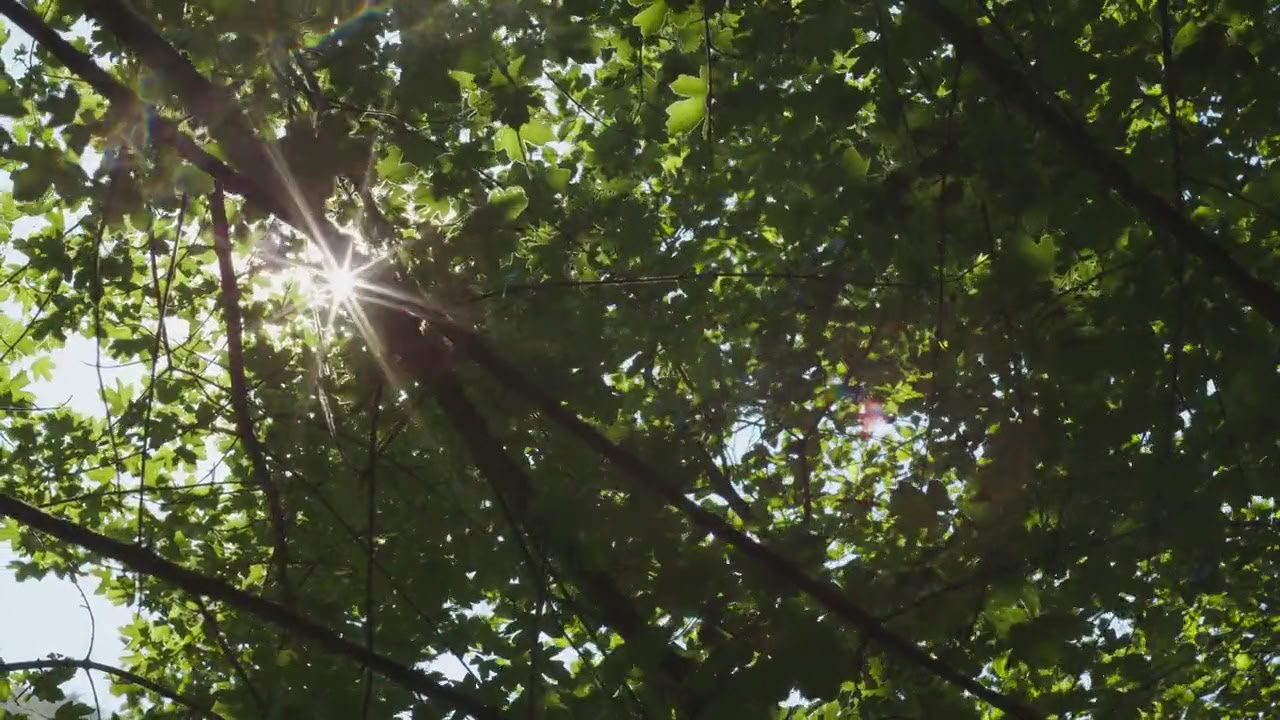 Hengitysharjoitusretriitti: Hengitä ja aloita