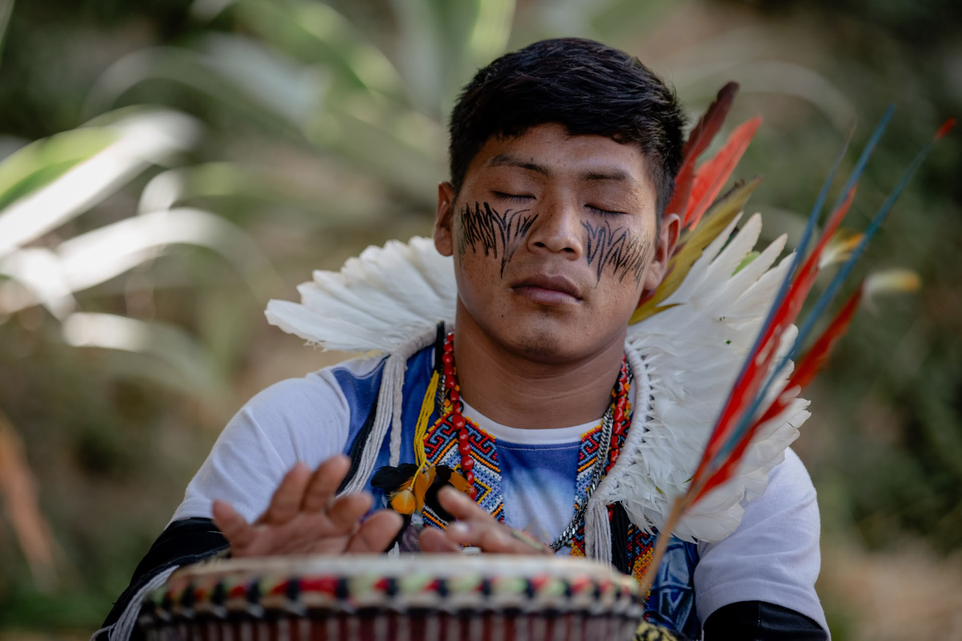 Ayahuasca-seremoniat