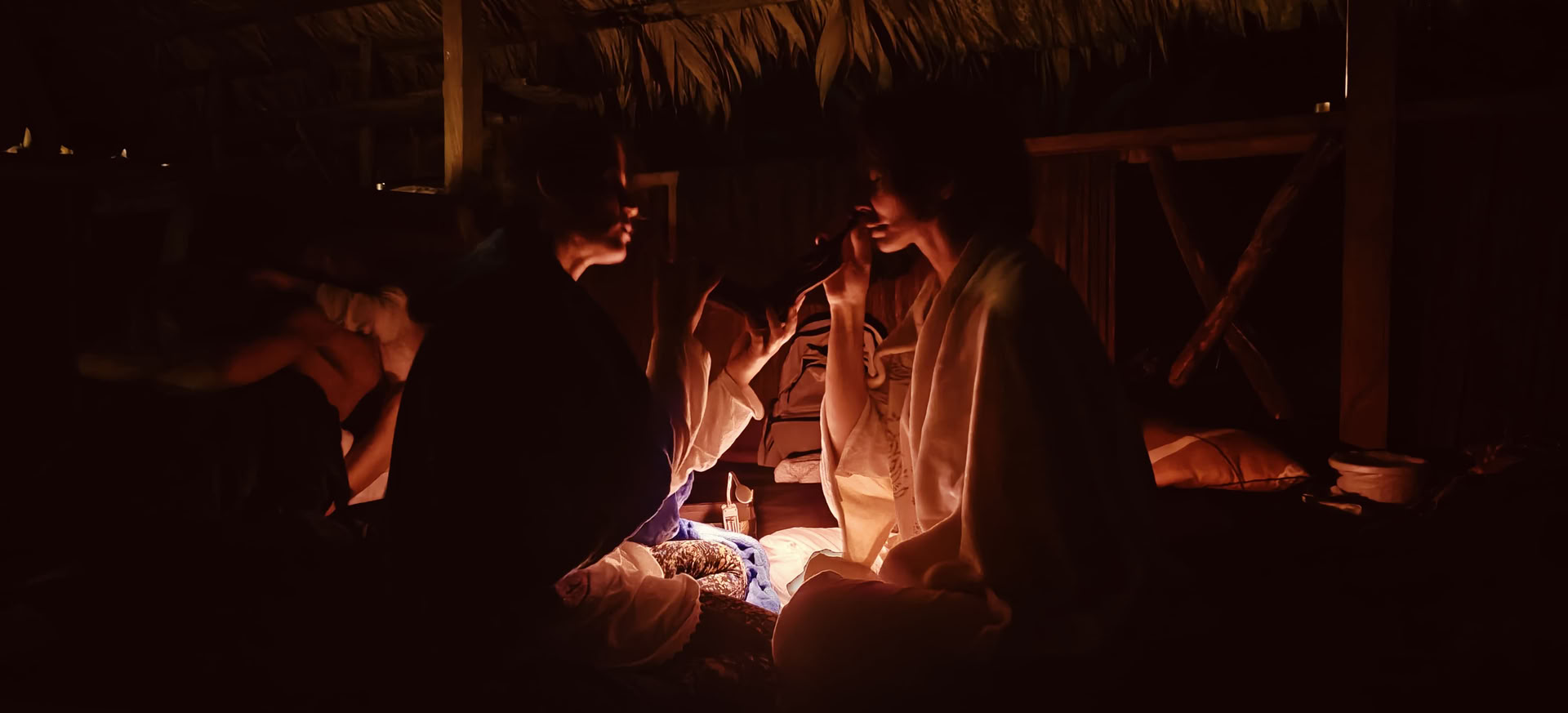 Ayahuasca ja perinteinen alkuperäiskansojen lääketiede -retriitti