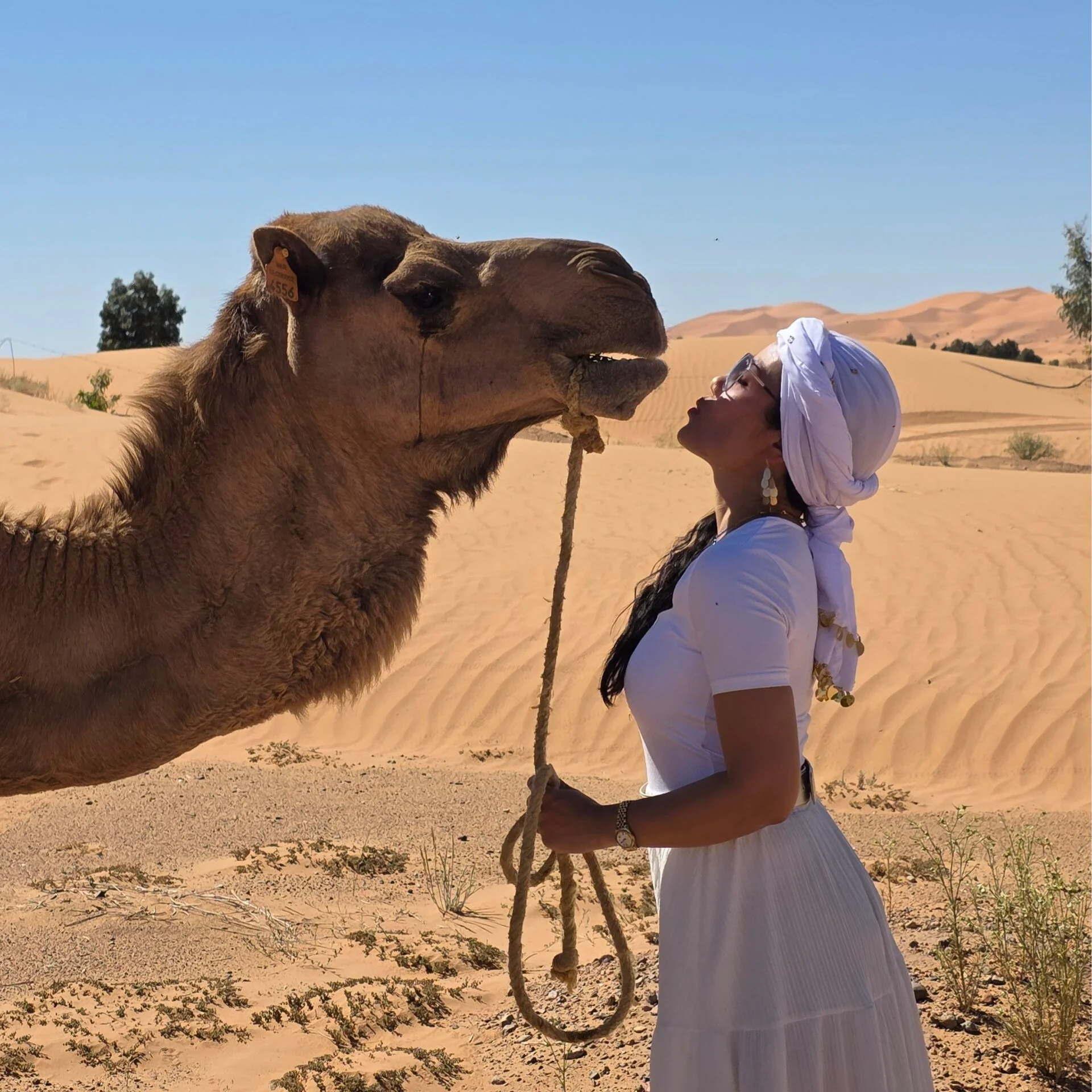 Feminiininen Tuli -retriitti Marokko – jooga, tanssi, kaakaoseremonia ja Saharan aavikkokokemus