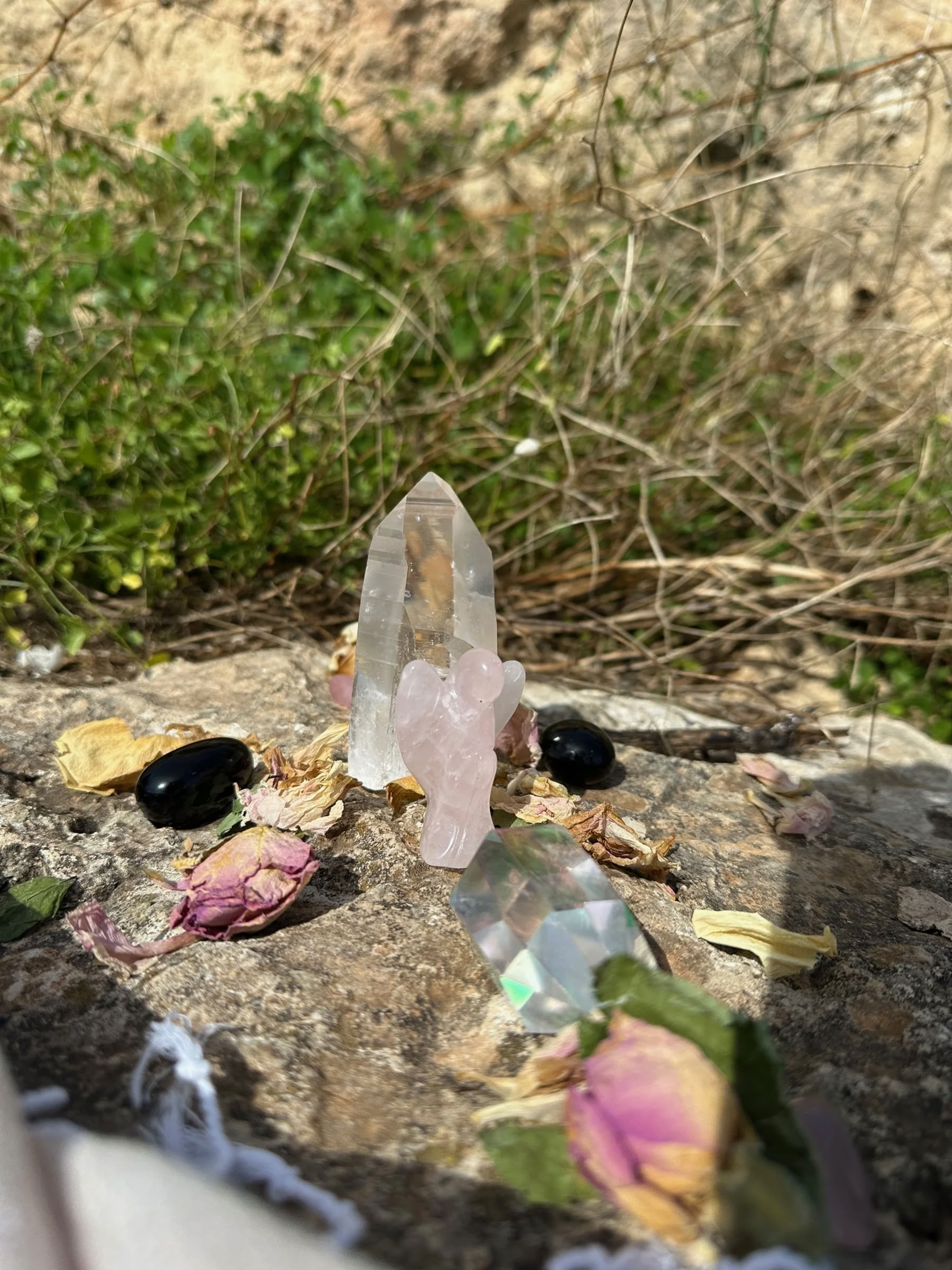 Papittaren pyhiinvaellus Maltan megaliittitemppeleihin - Yksityishuone