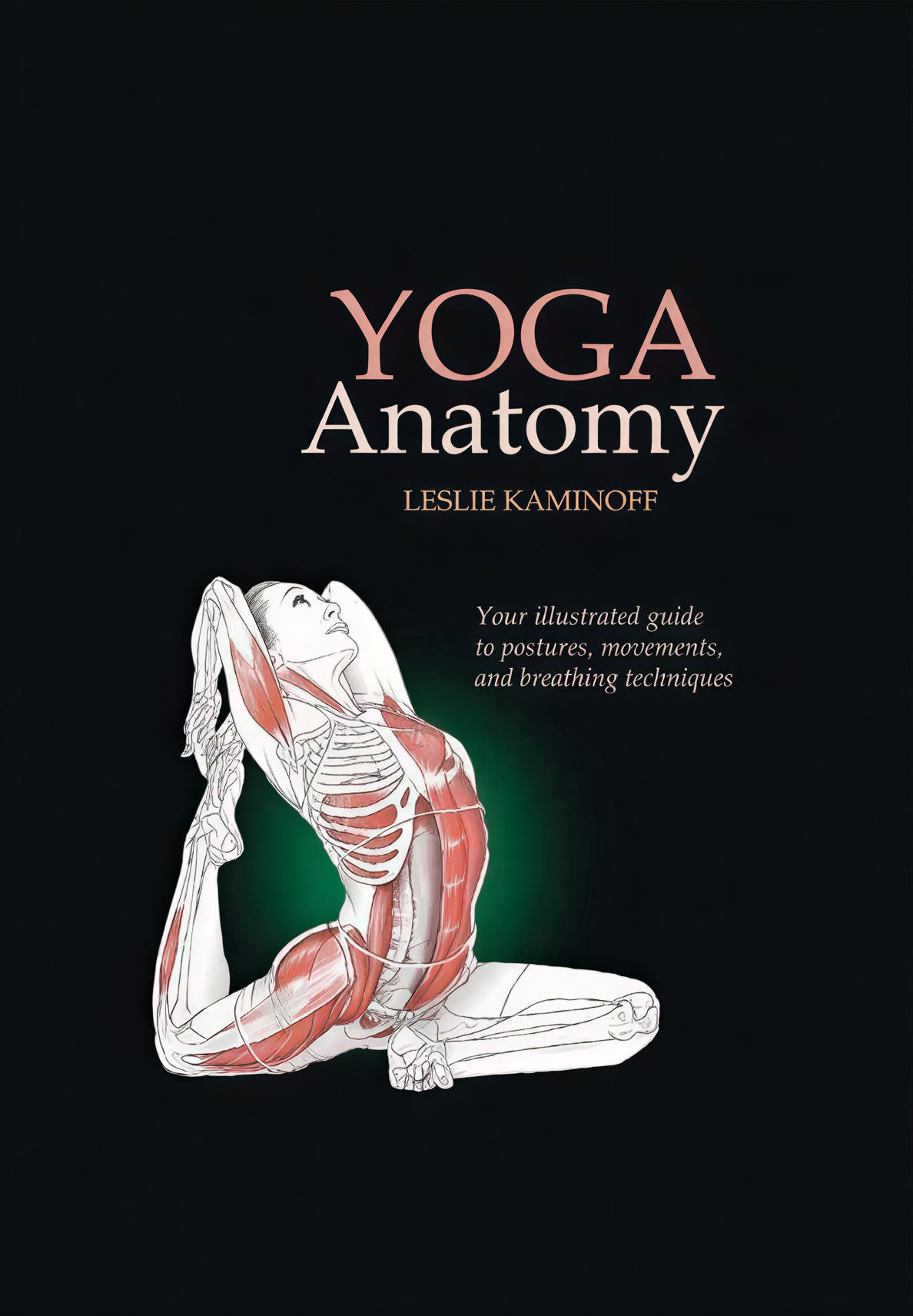 100 tunnin pranayama-opettajakoulutus Rishikeshissä
