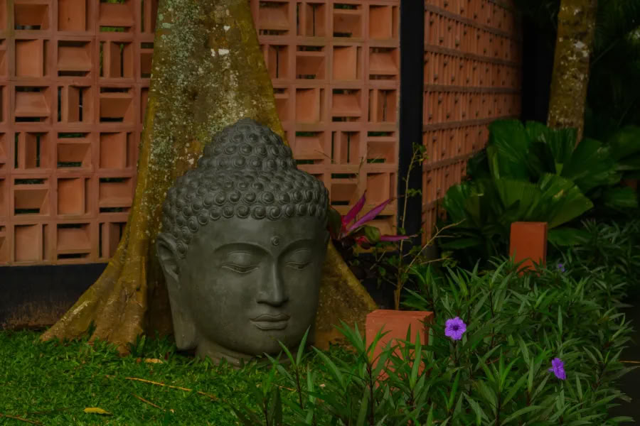 Jooga ja meditaatio