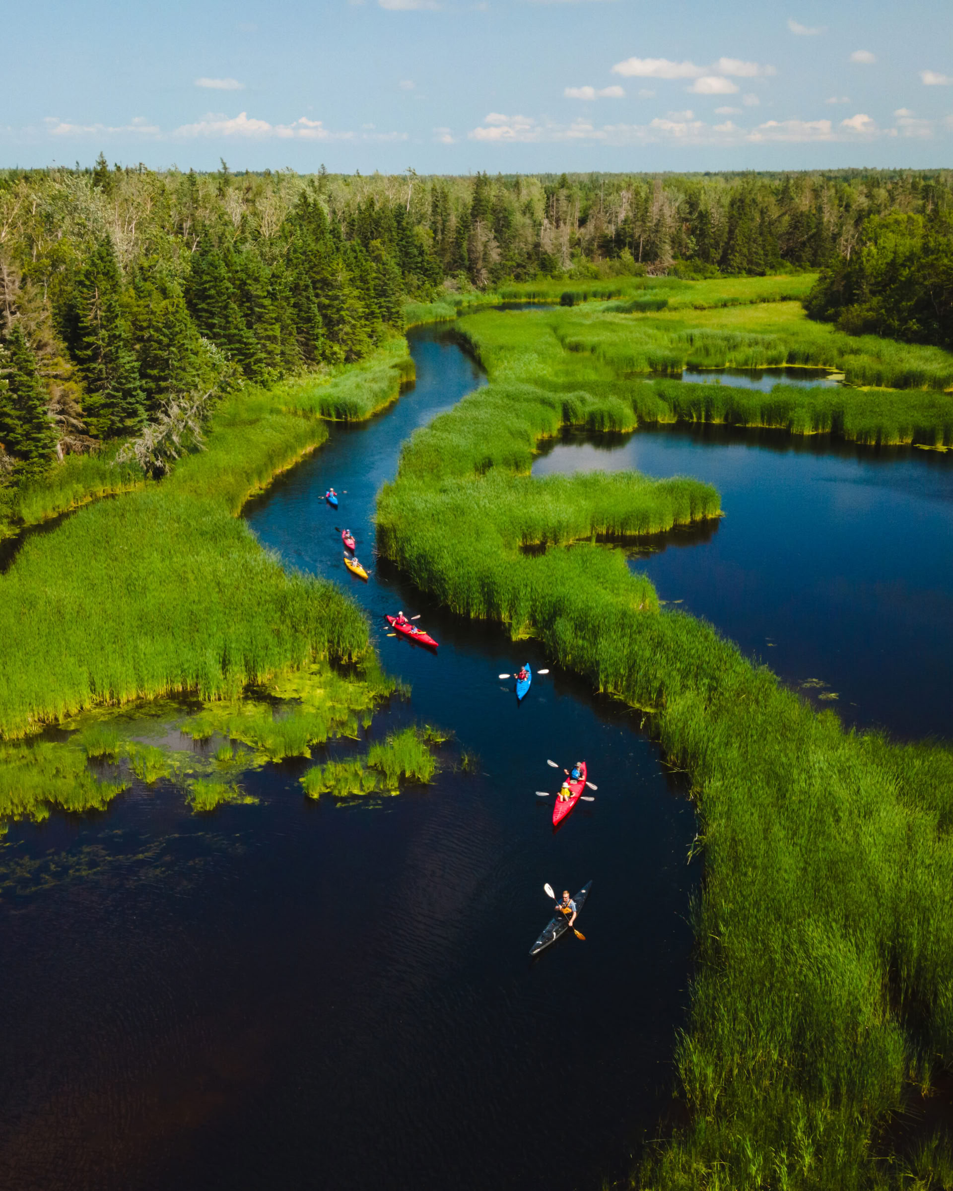 Aikuisten kesäleiri – heinäkuu