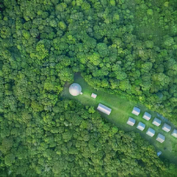 Ayahuasca-syventymisretki