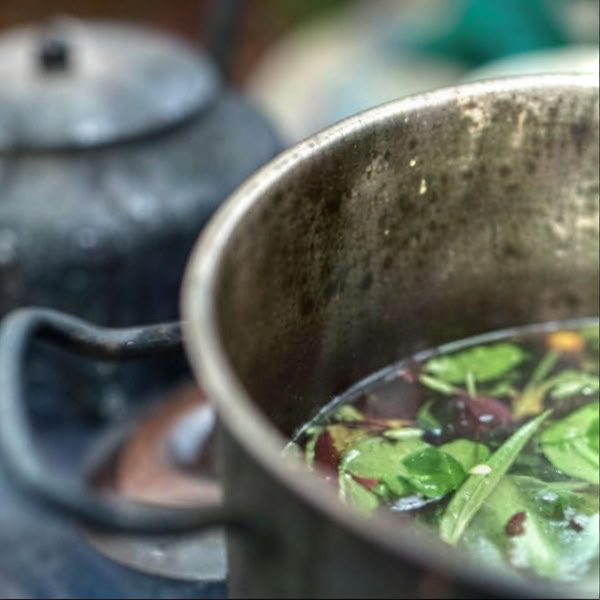 Ayahuasca-retriitti, Iquitos, Peru