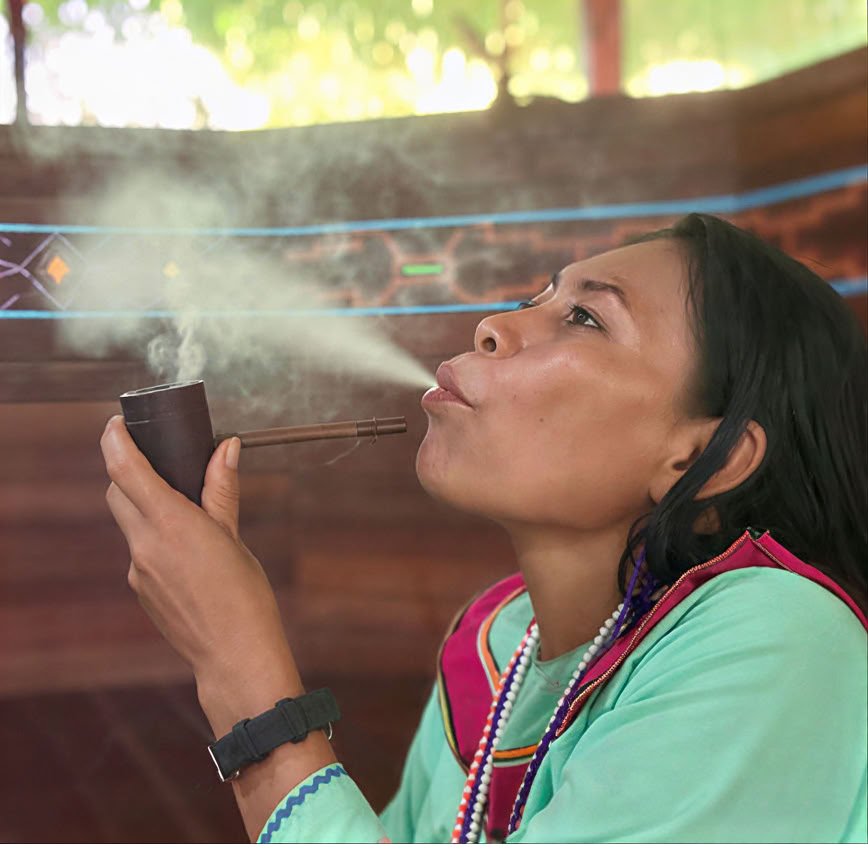 5 päivän johdanto ayahuascaan ja Amazonin kasvilääkintään