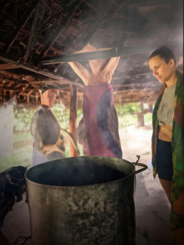 5 päivän johdanto ayahuascaan ja Amazonin kasvilääkintään