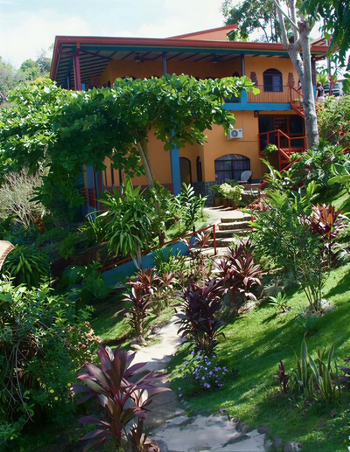 Costa Rican henkinen ayahuasca-retriitti