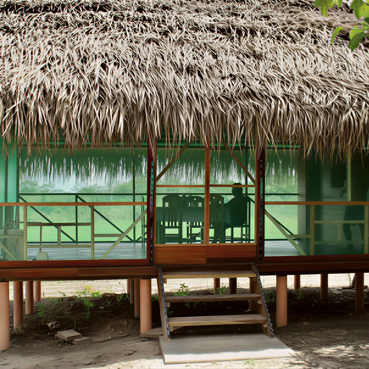 2 viikon ayahuascaretriitti Perussa