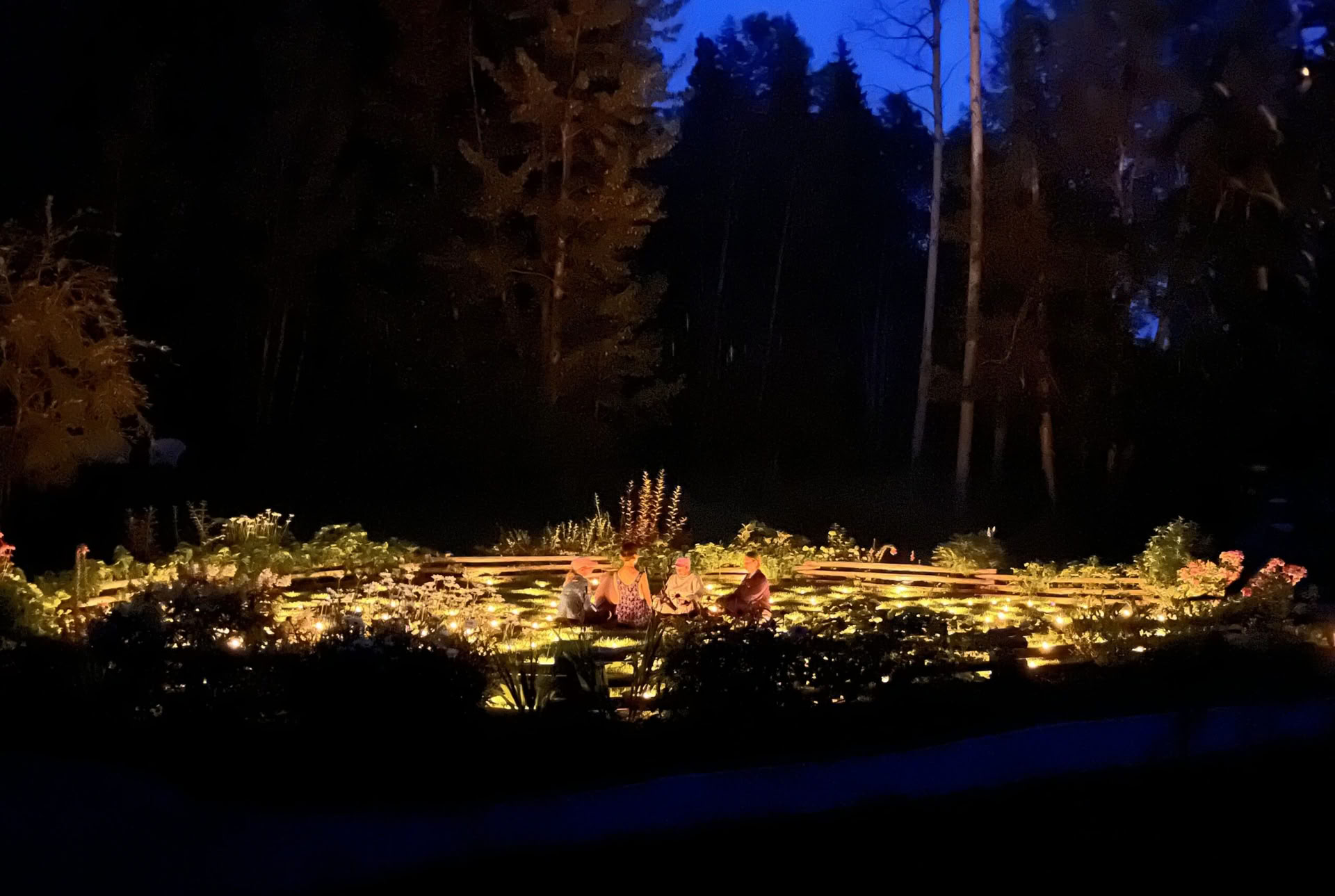 Valveilla villissä luonnossa