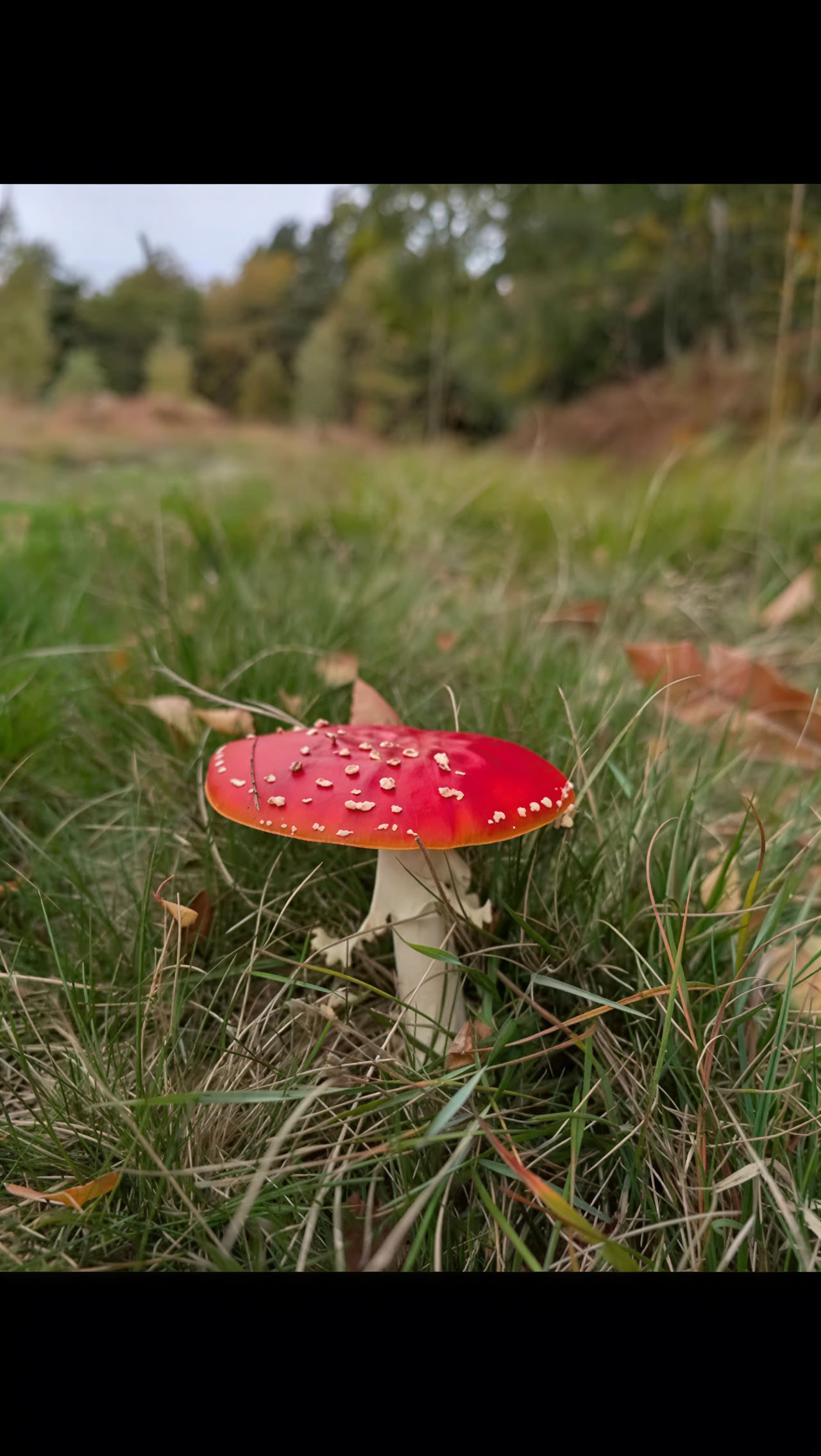 Asumismuotoinen viikonloppuretriitti