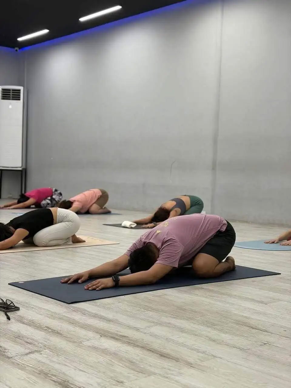 100 tunnin joogaopettajakoulutus Rishikeshissä