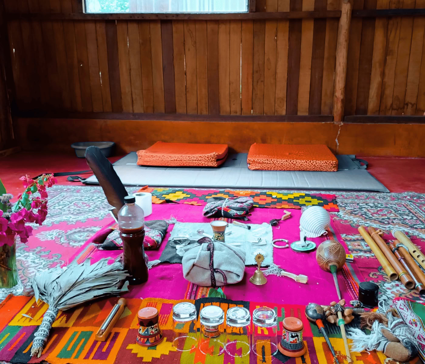 7 päivän ayahuascaretriitti + Machupicchu