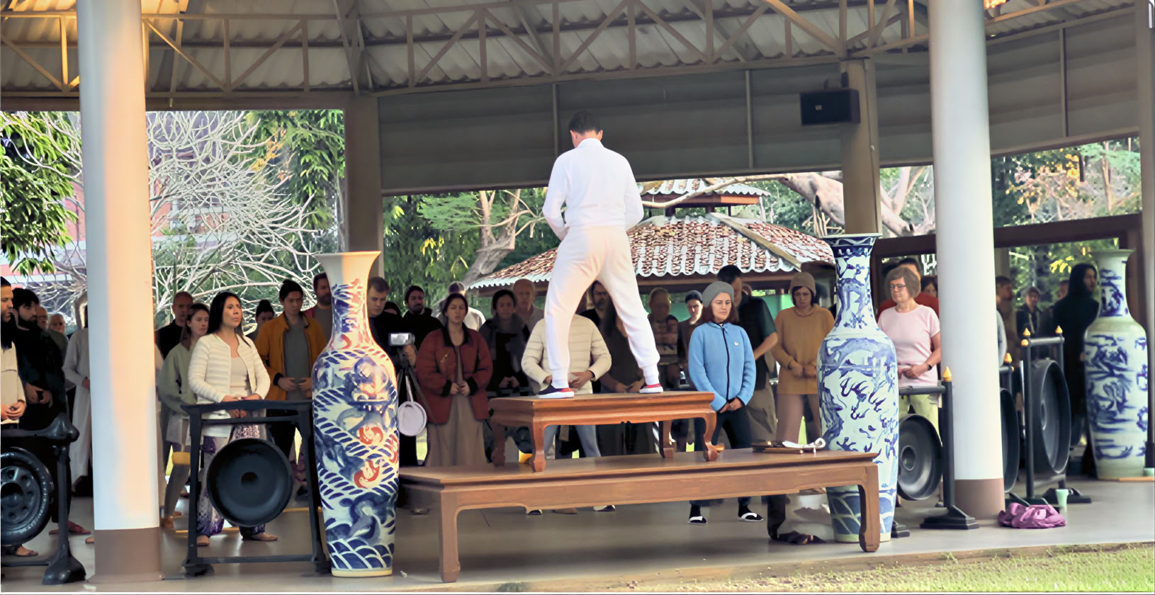 Sisäisen alkemian qigong-sarja Tao Garden 2026