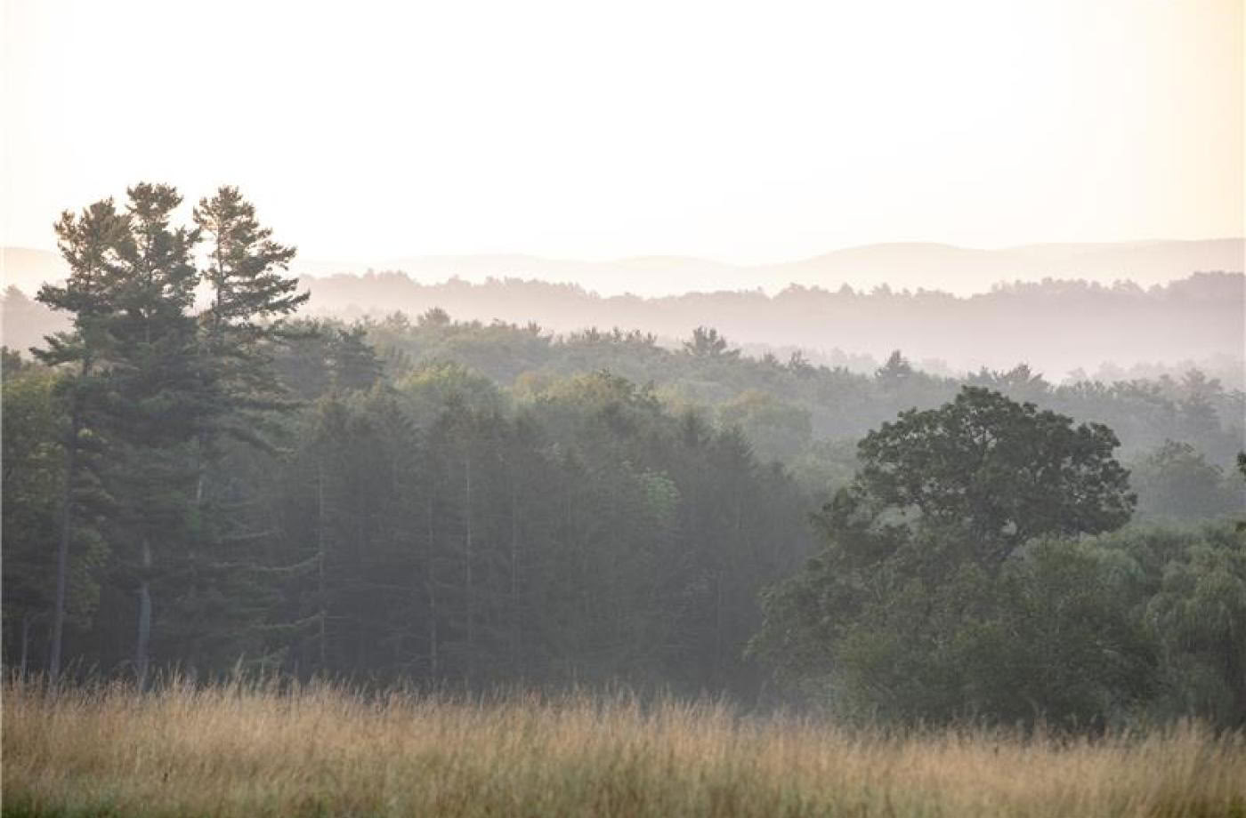 RISE: Kripalu-lähestymistapa resilienssiin
