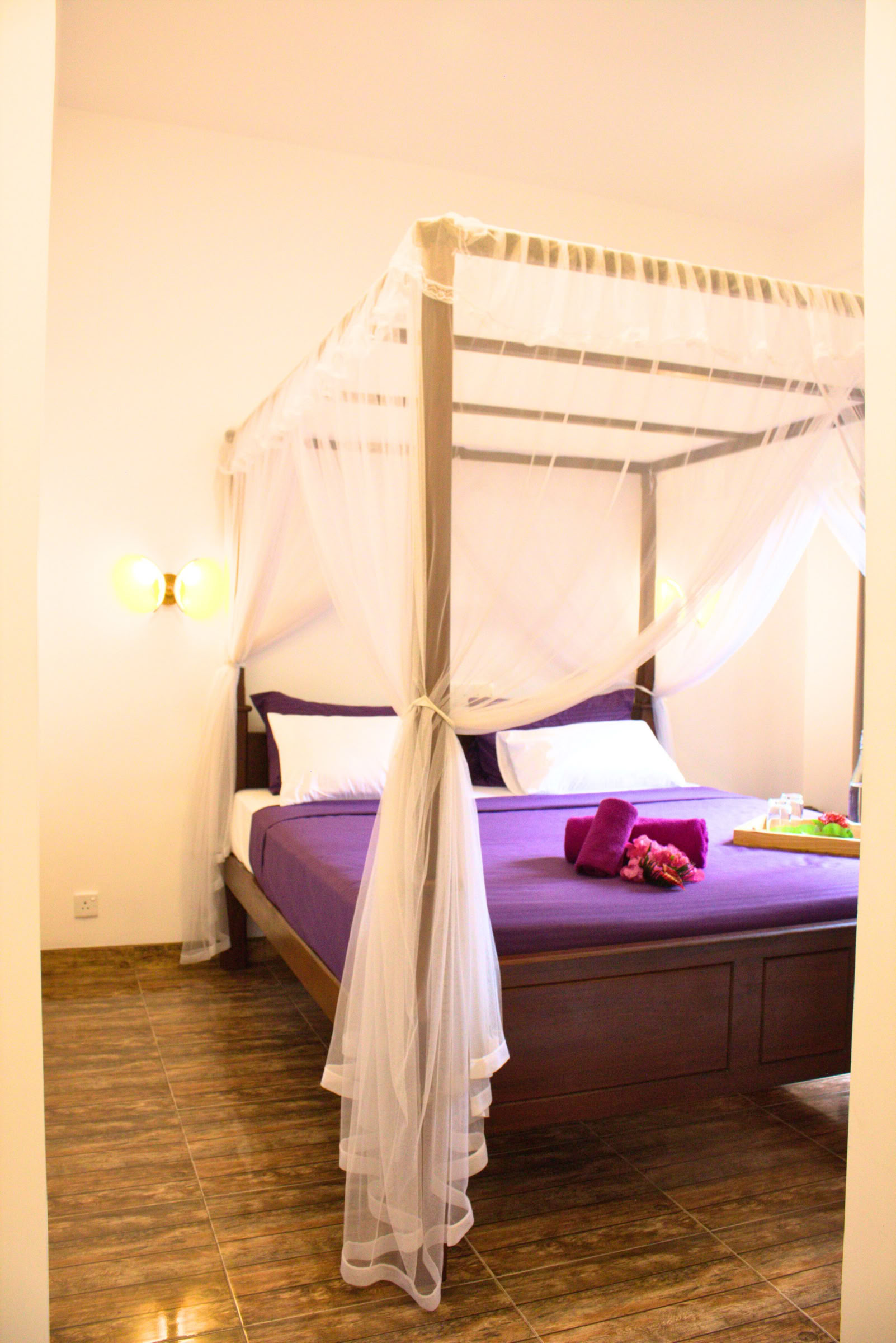 7 päivän hermoston palautus, jooga- ja meditaatioretriitti, Sri Lanka