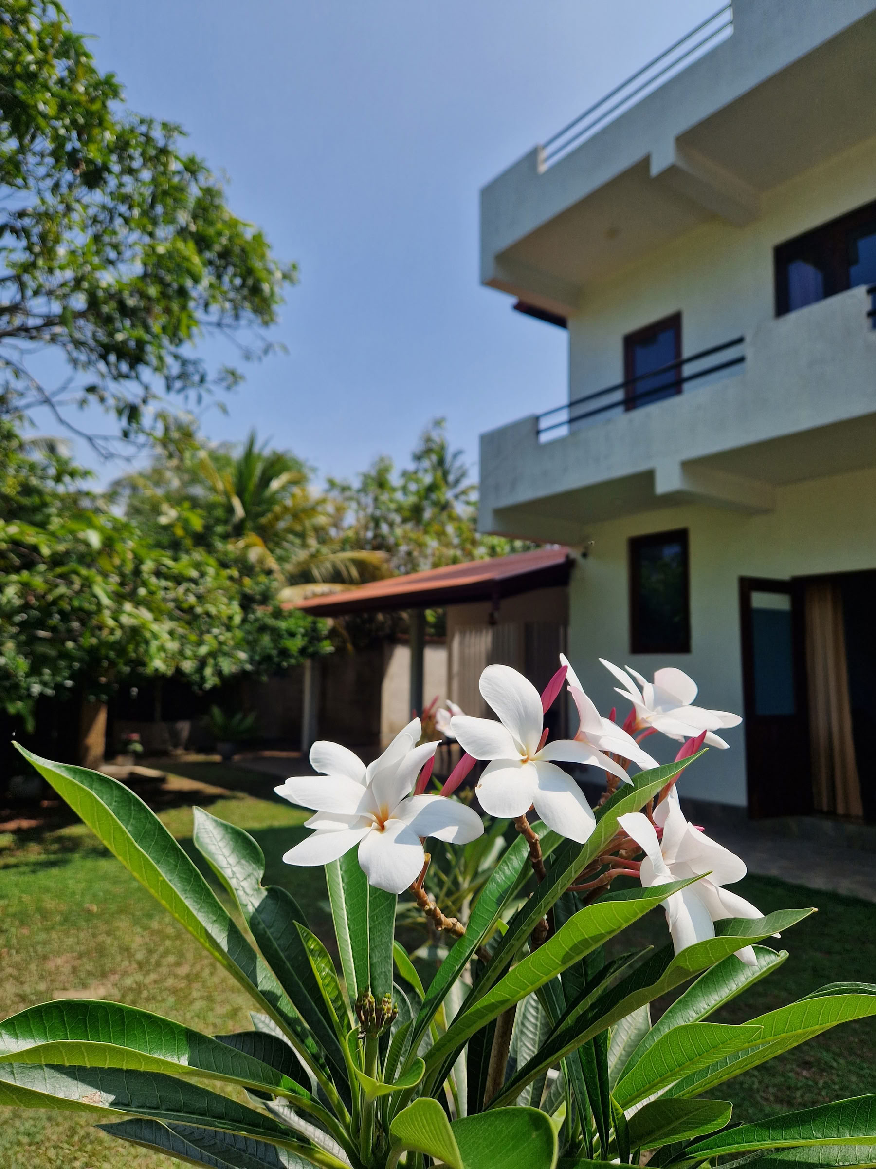 7 päivän hermoston palautus, jooga- ja meditaatioretriitti, Sri Lanka