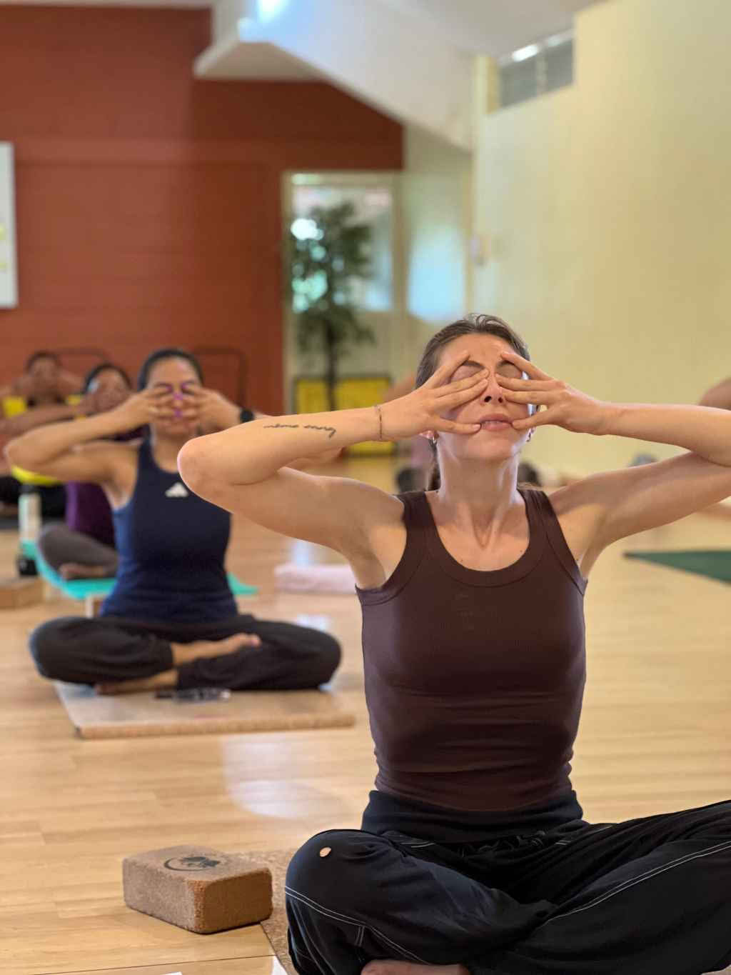 100 tunnin asumismuotoinen pranayama-opettajakoulutus