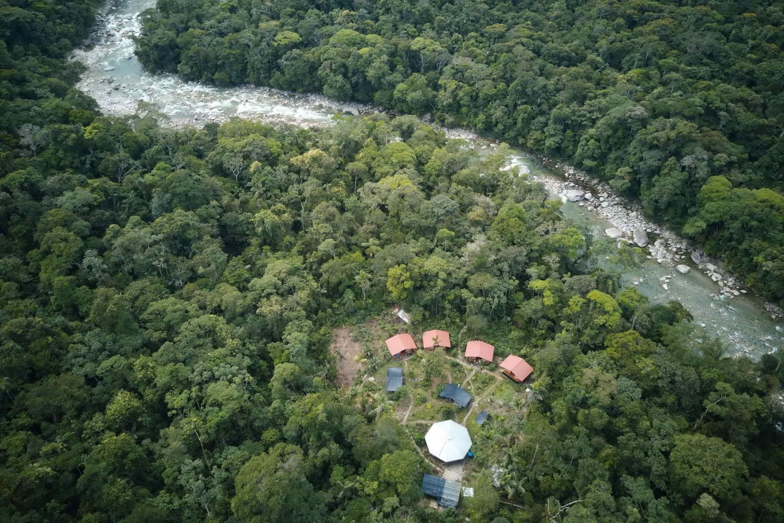 Sulkapäähine Ayahuasca Ecuador