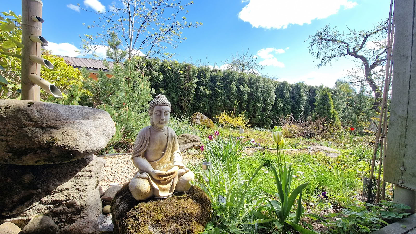 Meditaatiokeskus Ojas, lomakeskus / OJAS-meditaatiokeskuslomakeskus