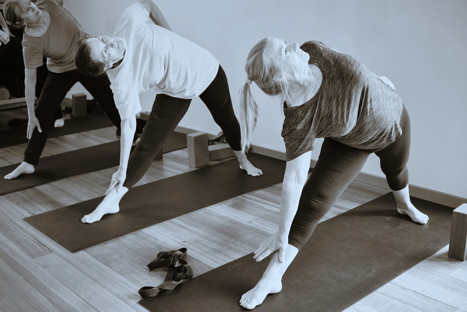 Griffins Hillin Iyengar-joogaretriitti
