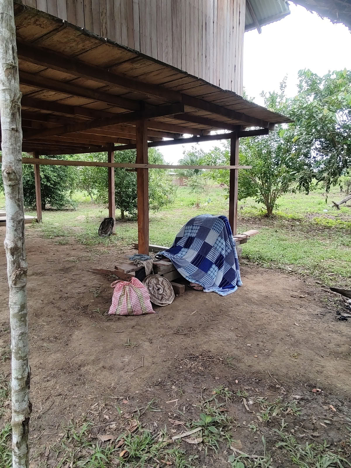 Shipibo-ayahuasca ja šamanismin perusteet