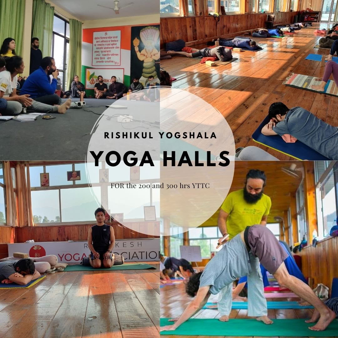 Rishikul Yogshala Rishikesh - Joogaopettajakoulutus Rishikeshissä, Intiassa