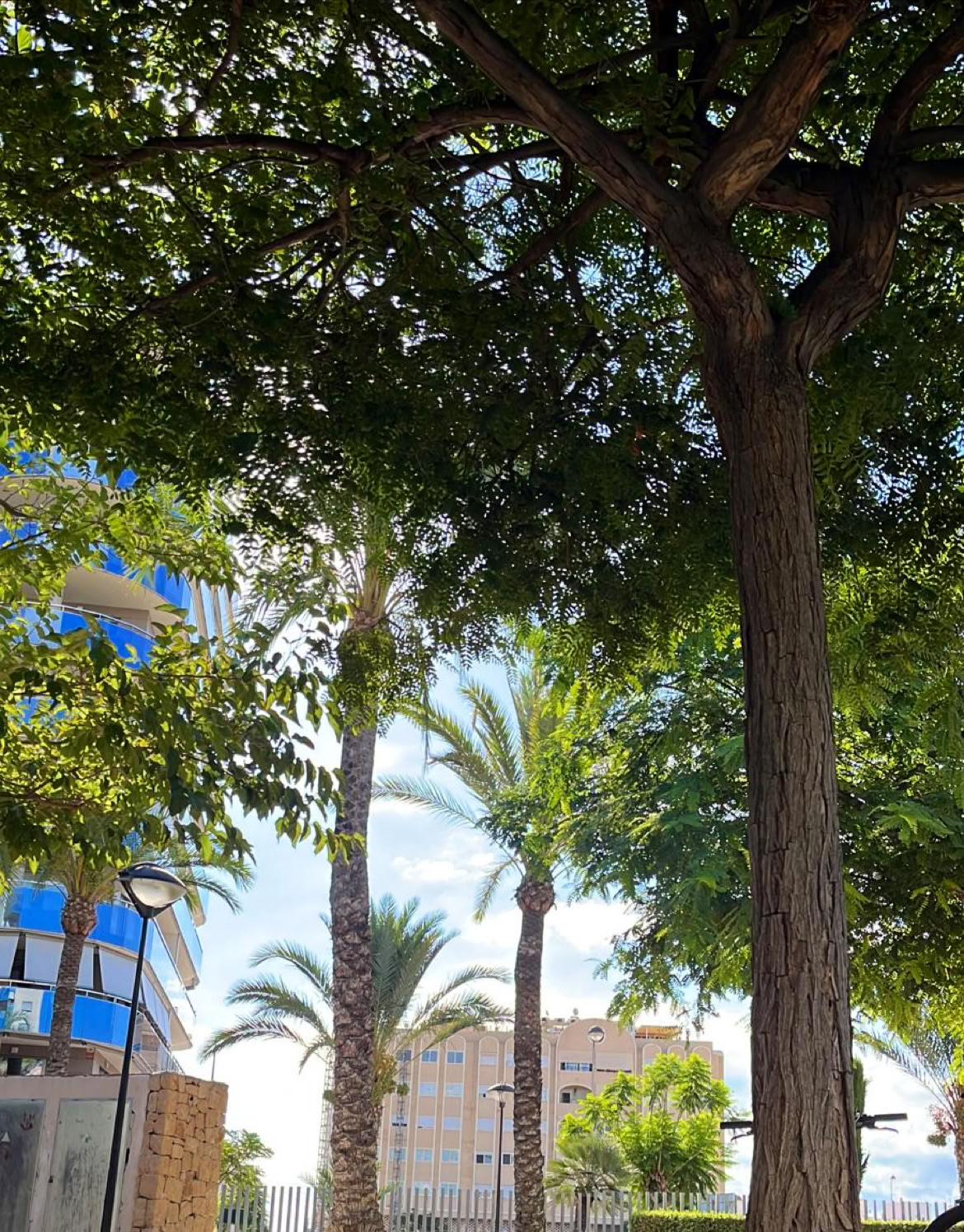Revive Retreats & Fitness by Bomba Fitness Campello