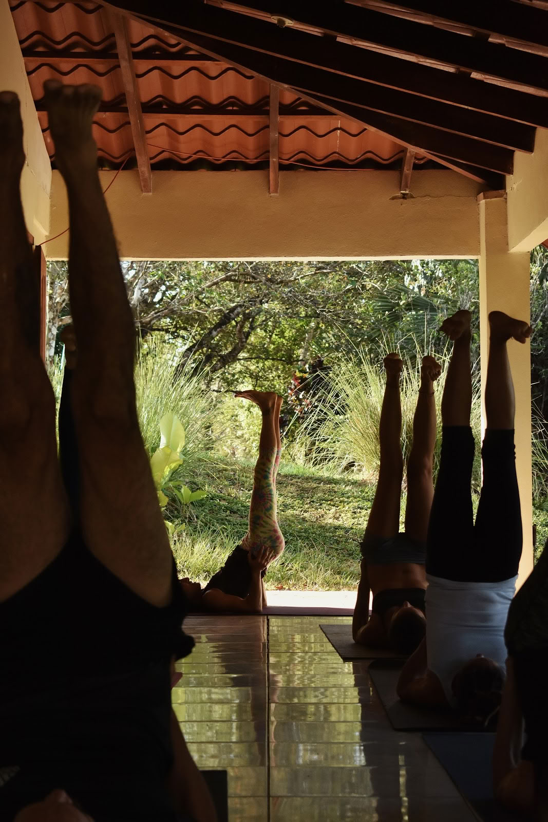 DEVAYA YOGA Studio & Hierontaterapia