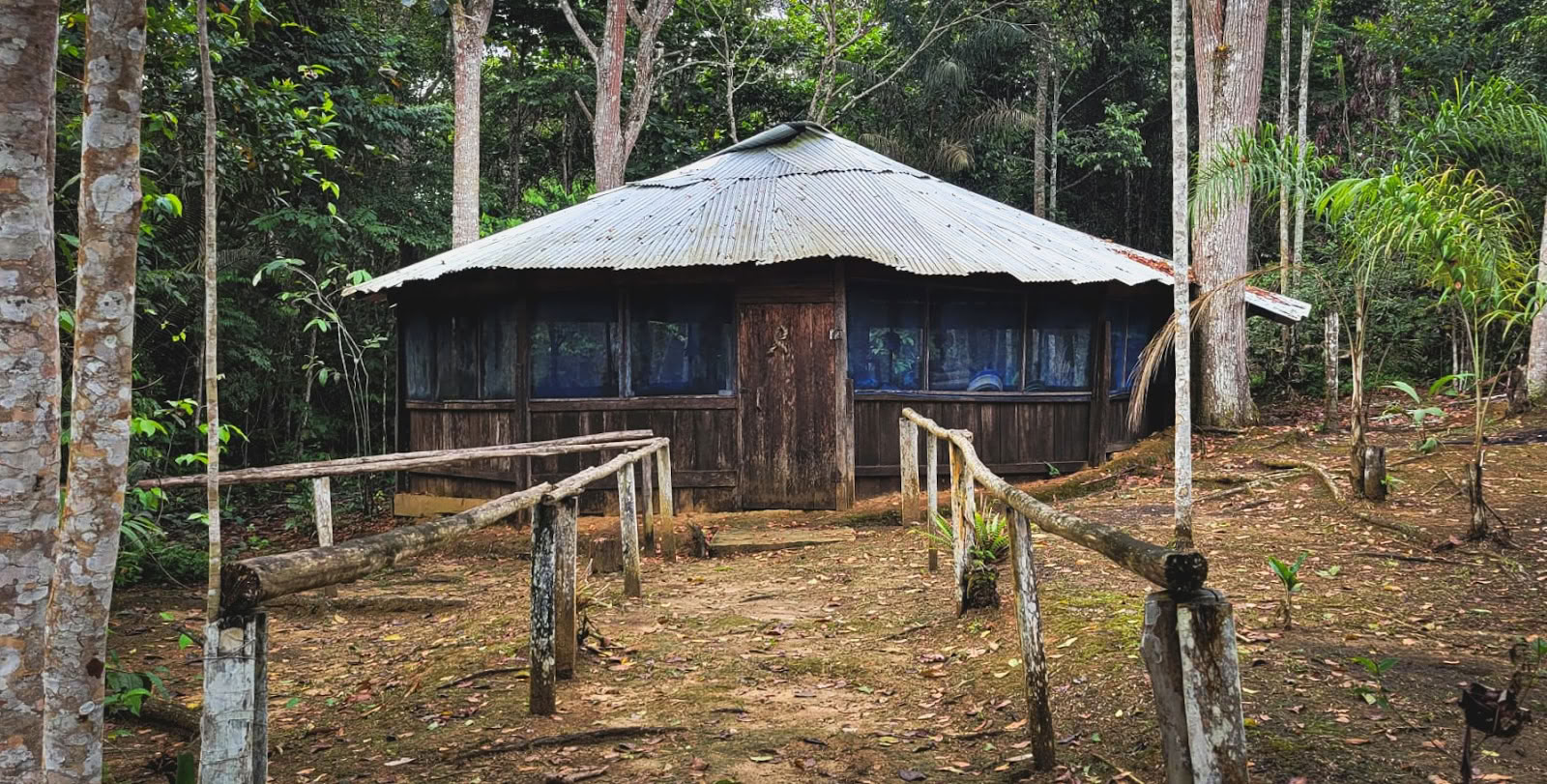 El Purguero Ayahuasca-retriitti