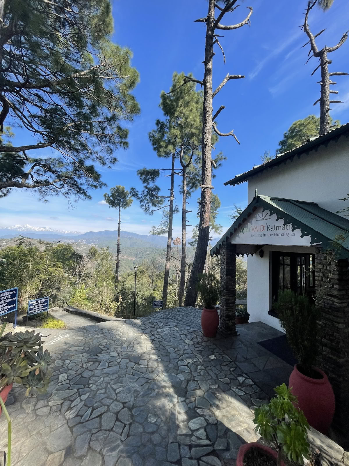 AyurVAID Kalmatia - parantumisen keskus Almorassa, Uttarakhandissa