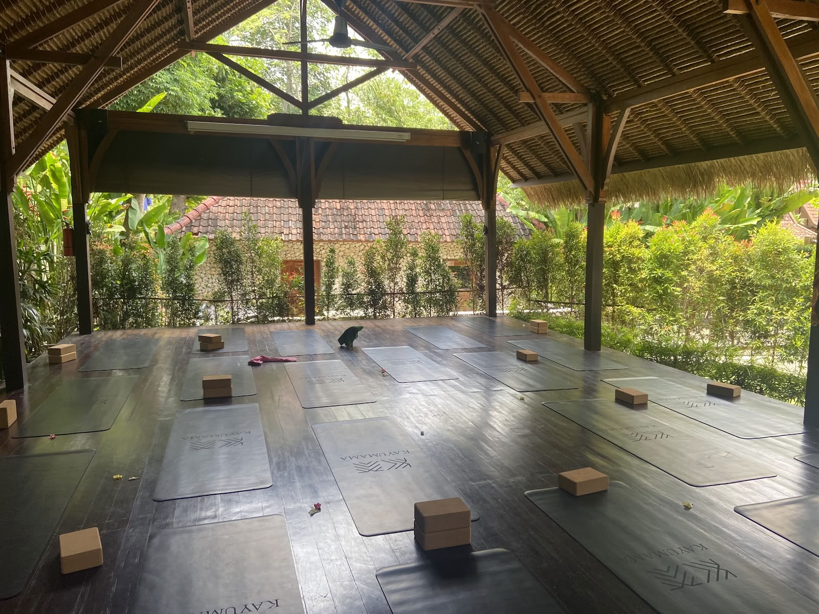 SoHA Healing Arts -jooganopettajakoulutukset