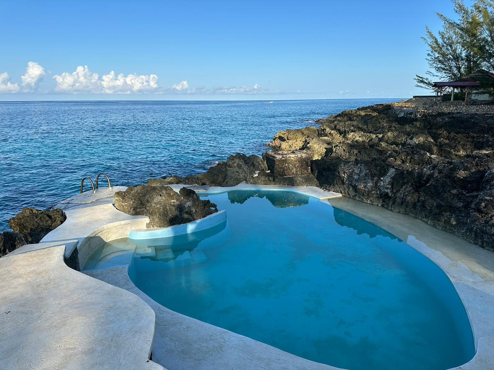 ONE Retreats | Psilosybiinisieniretriitit